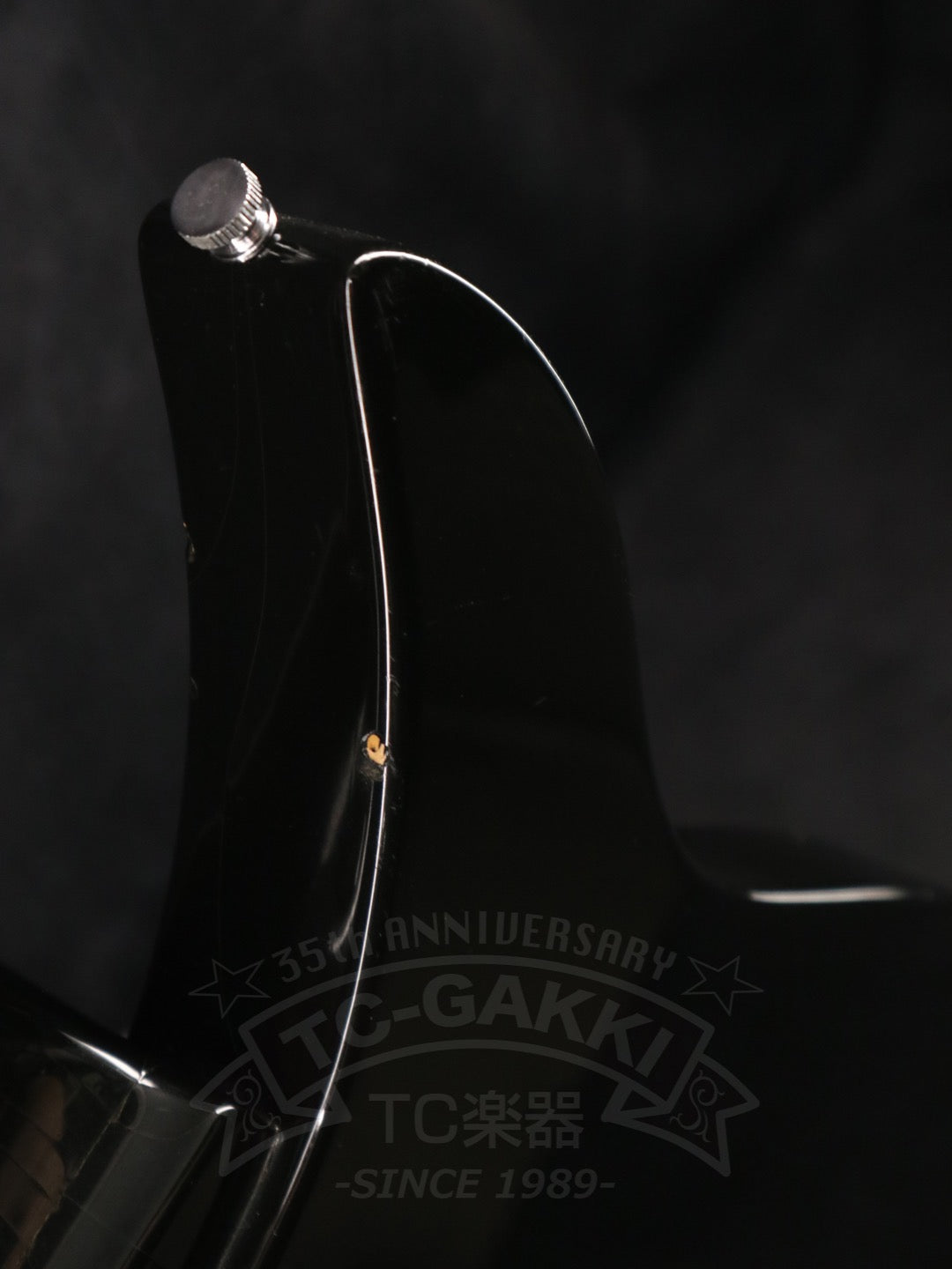 Rickenbacker 325v63