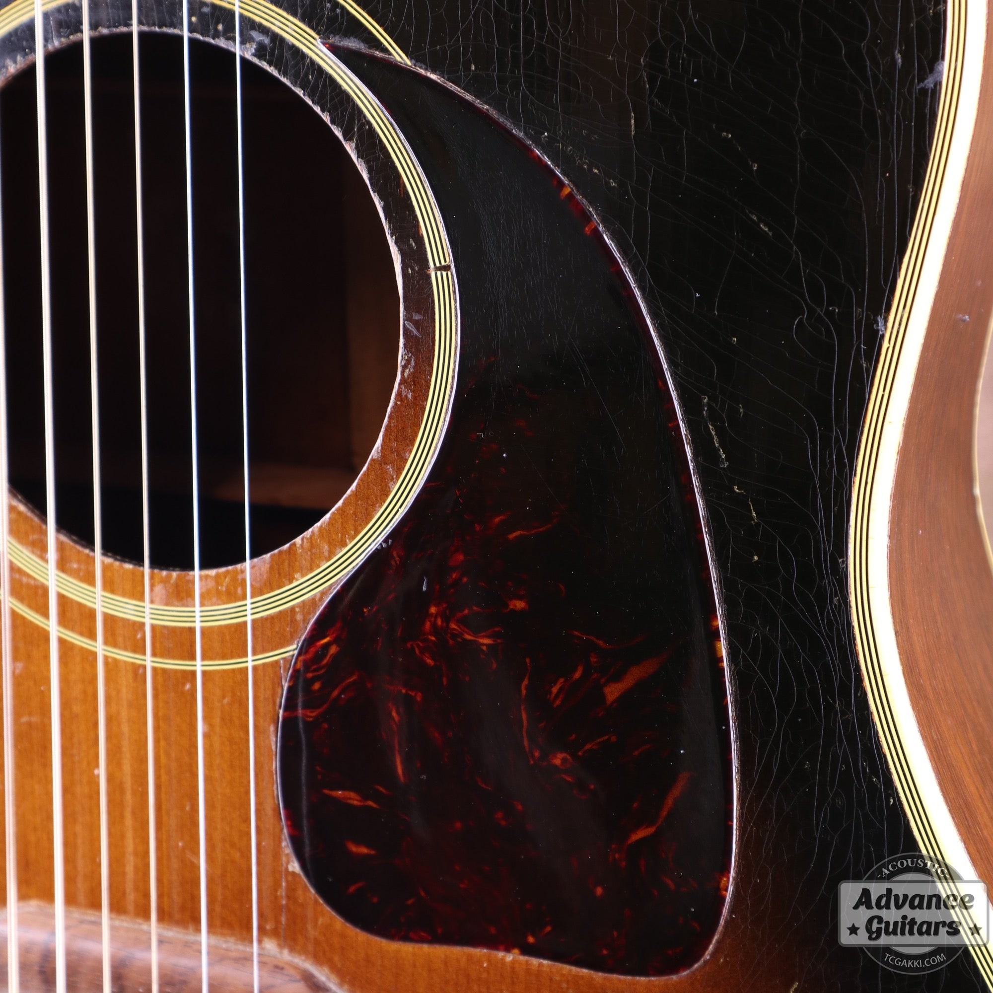 Gibson 1953年製 Southern Jumbo