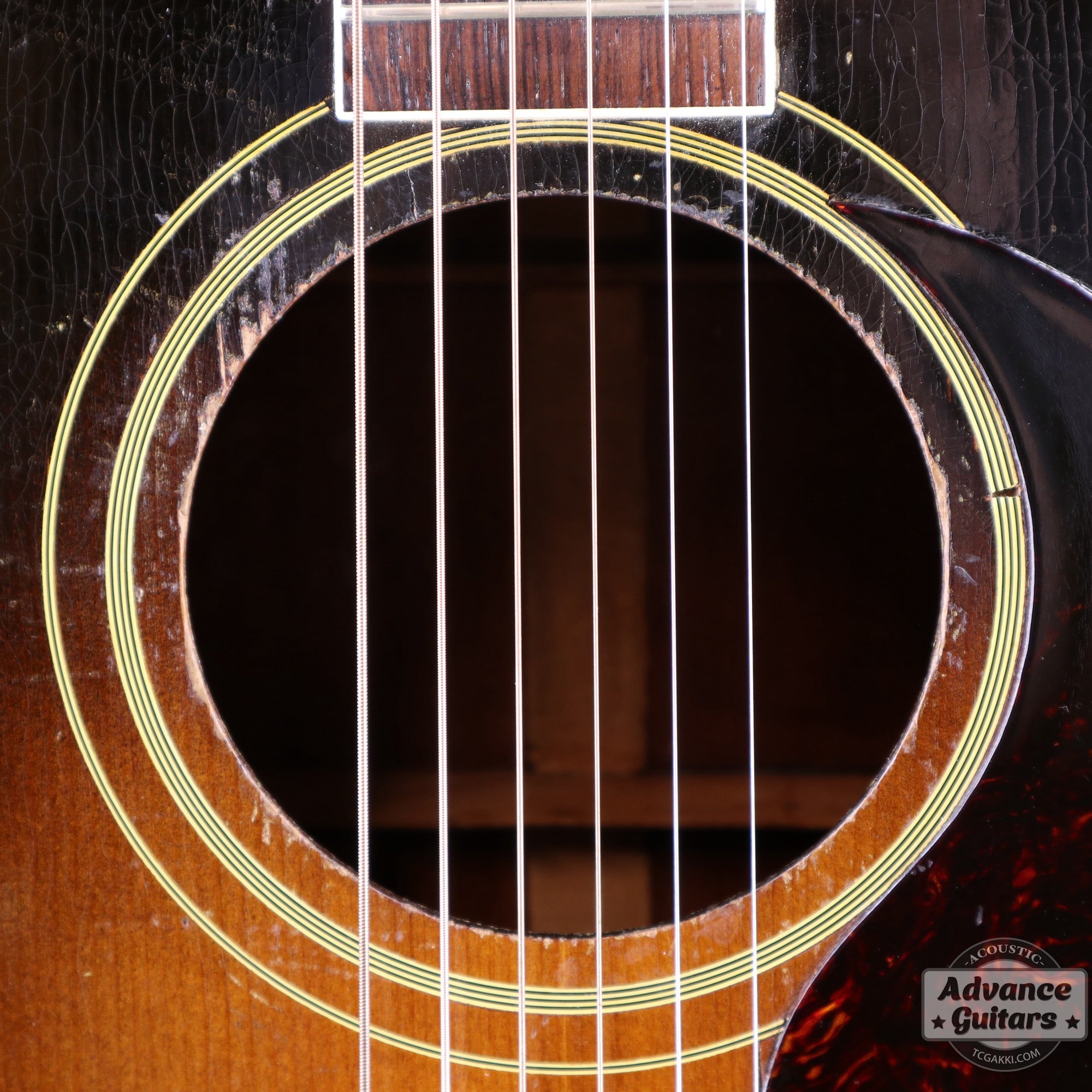 Gibson 1953年製 Southern Jumbo