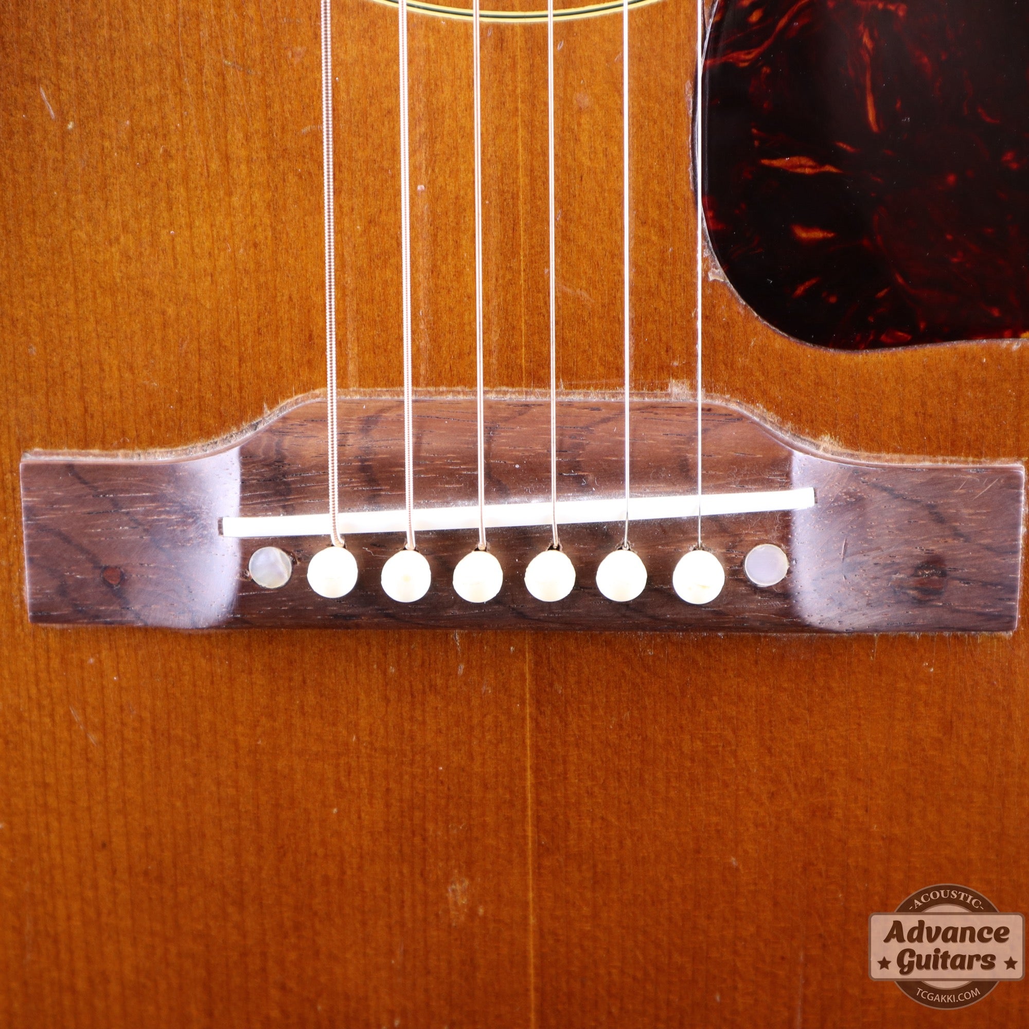 Gibson 1953年製 Southern Jumbo