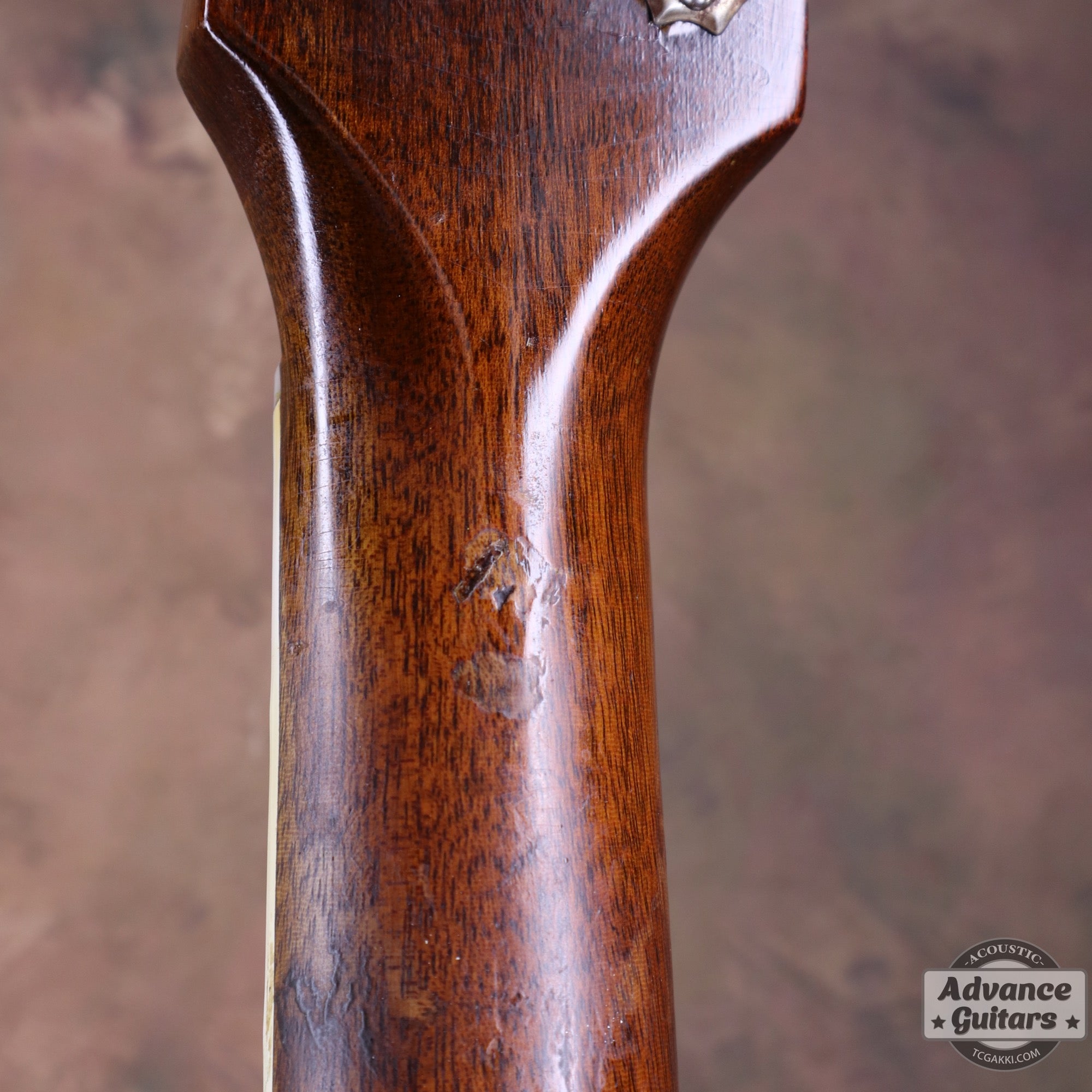 Gibson 1953年製 Southern Jumbo