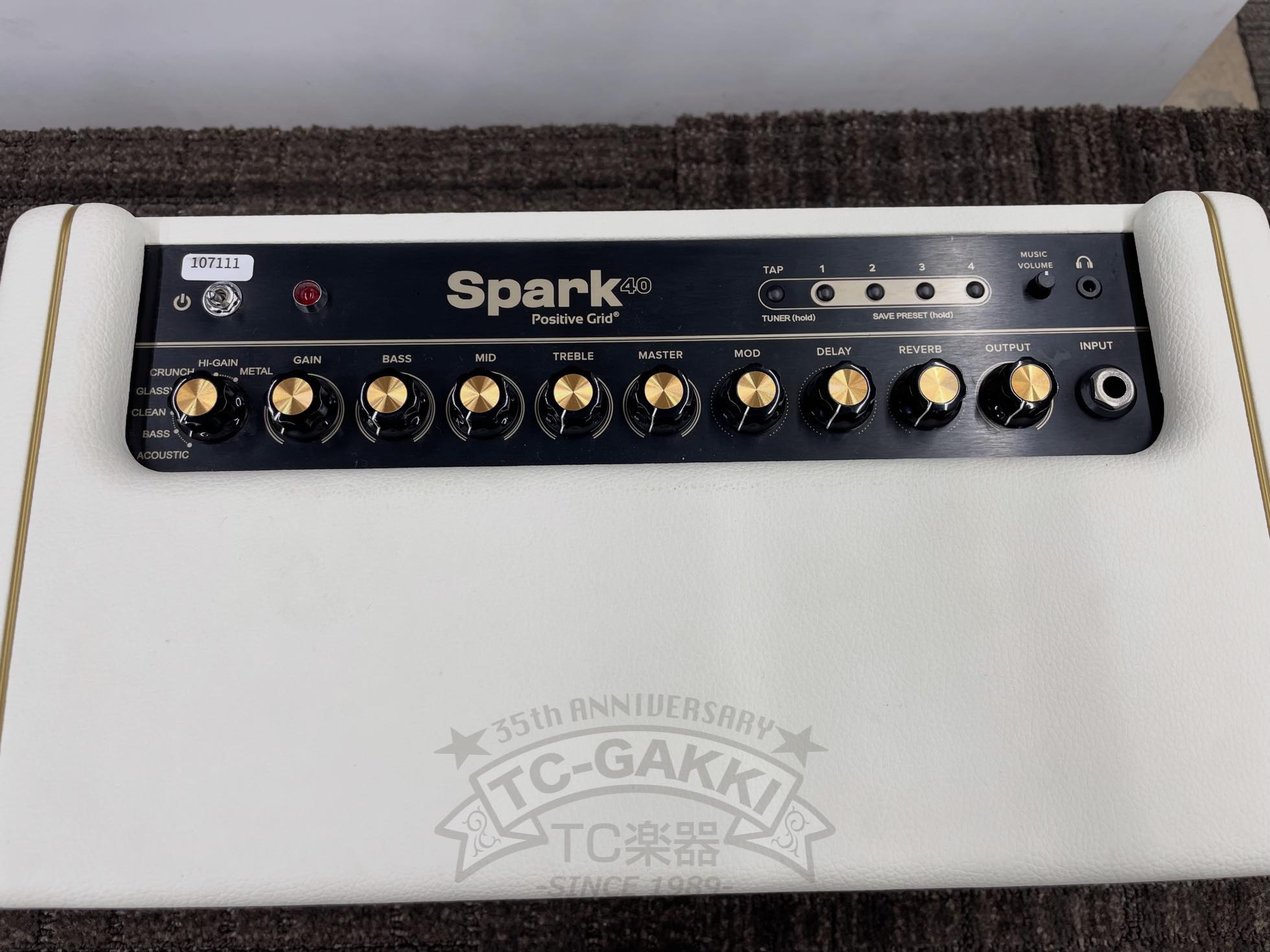 Positive Grid Spark 40