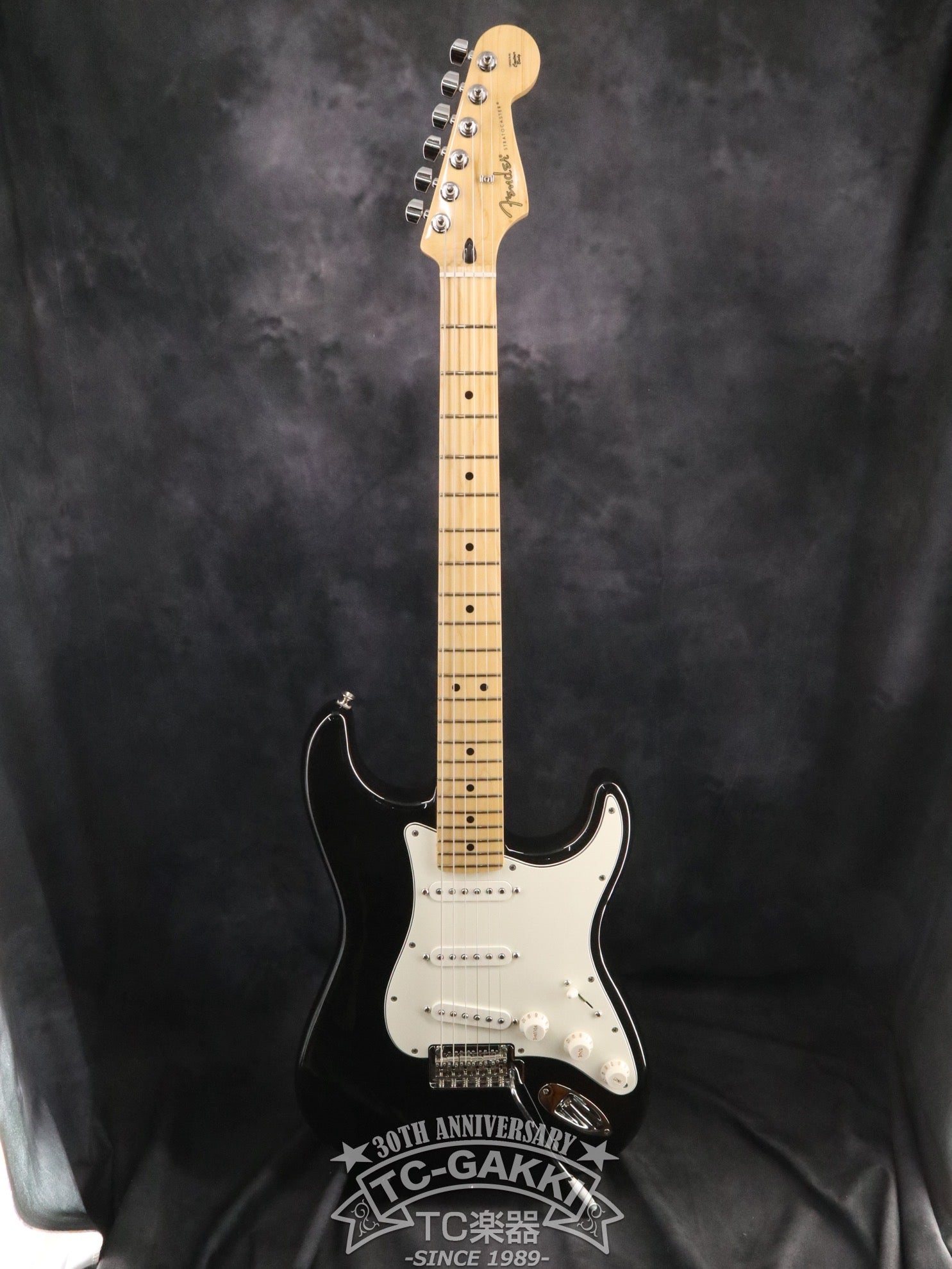 2022 Player Stratocaster
