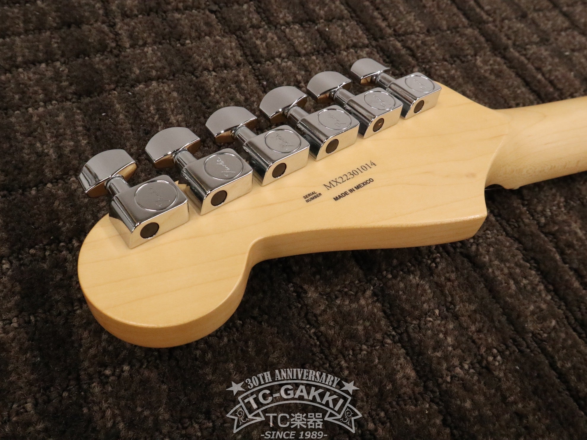 2022 Player Stratocaster