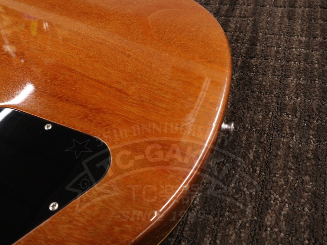 Gibson Les Paul Classic
