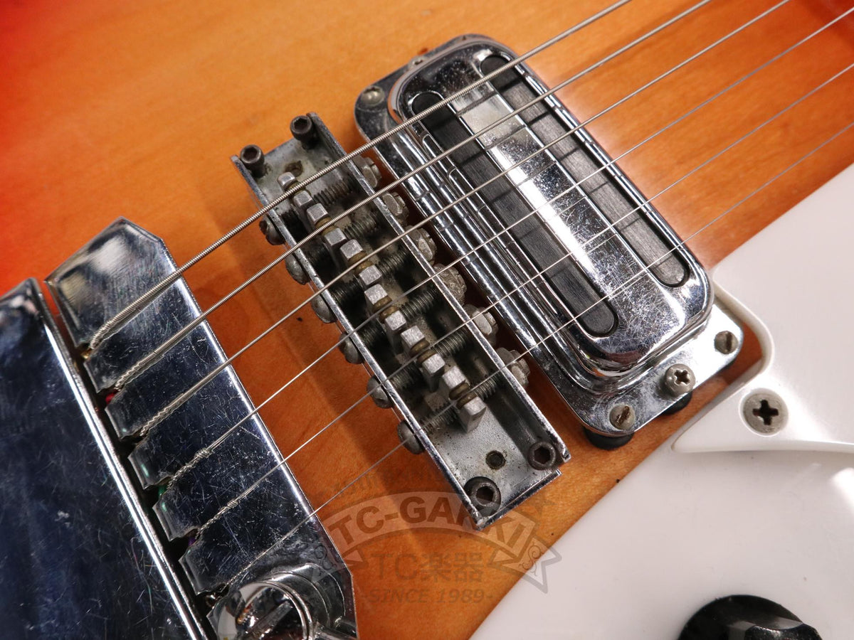 Rickenbacker 1967 Model 615
