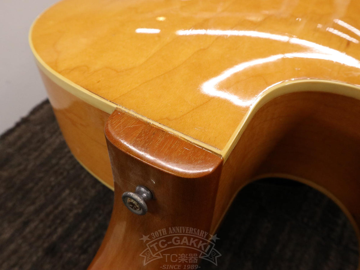 Gibson ES-175D