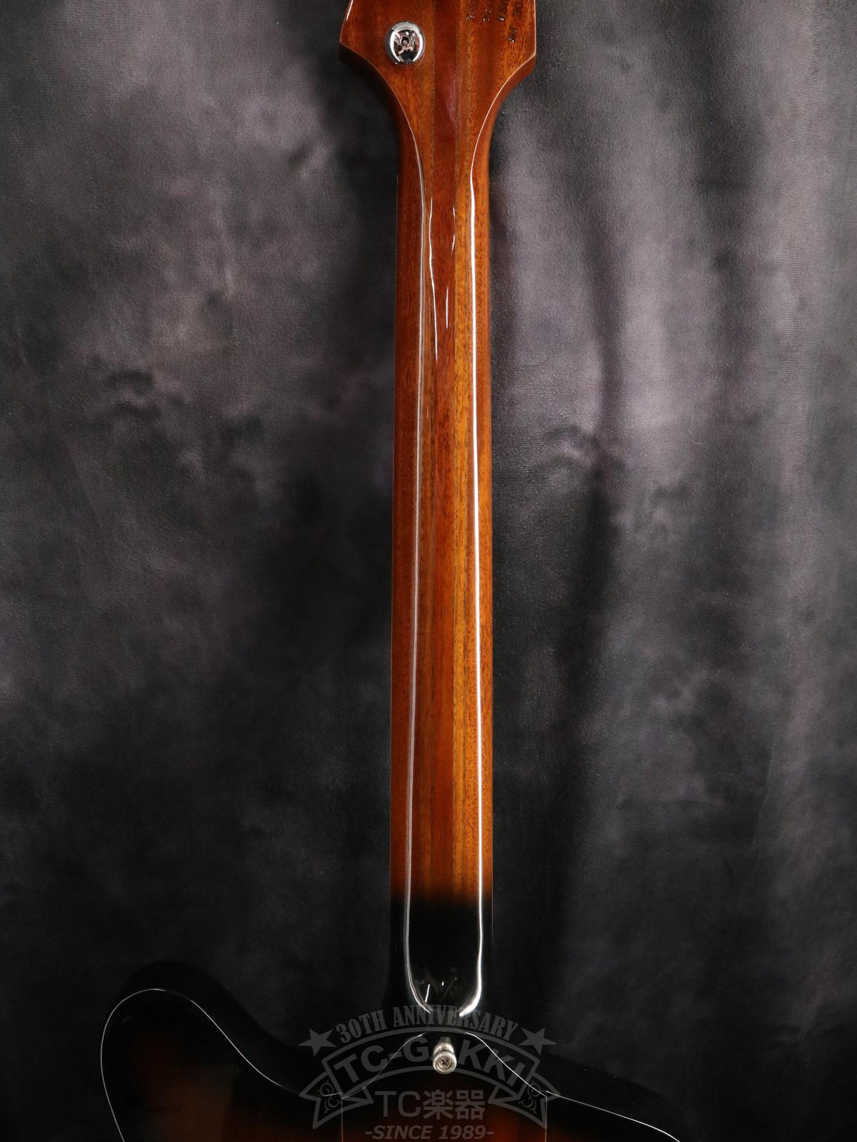 Firebird V 120th Anniversary