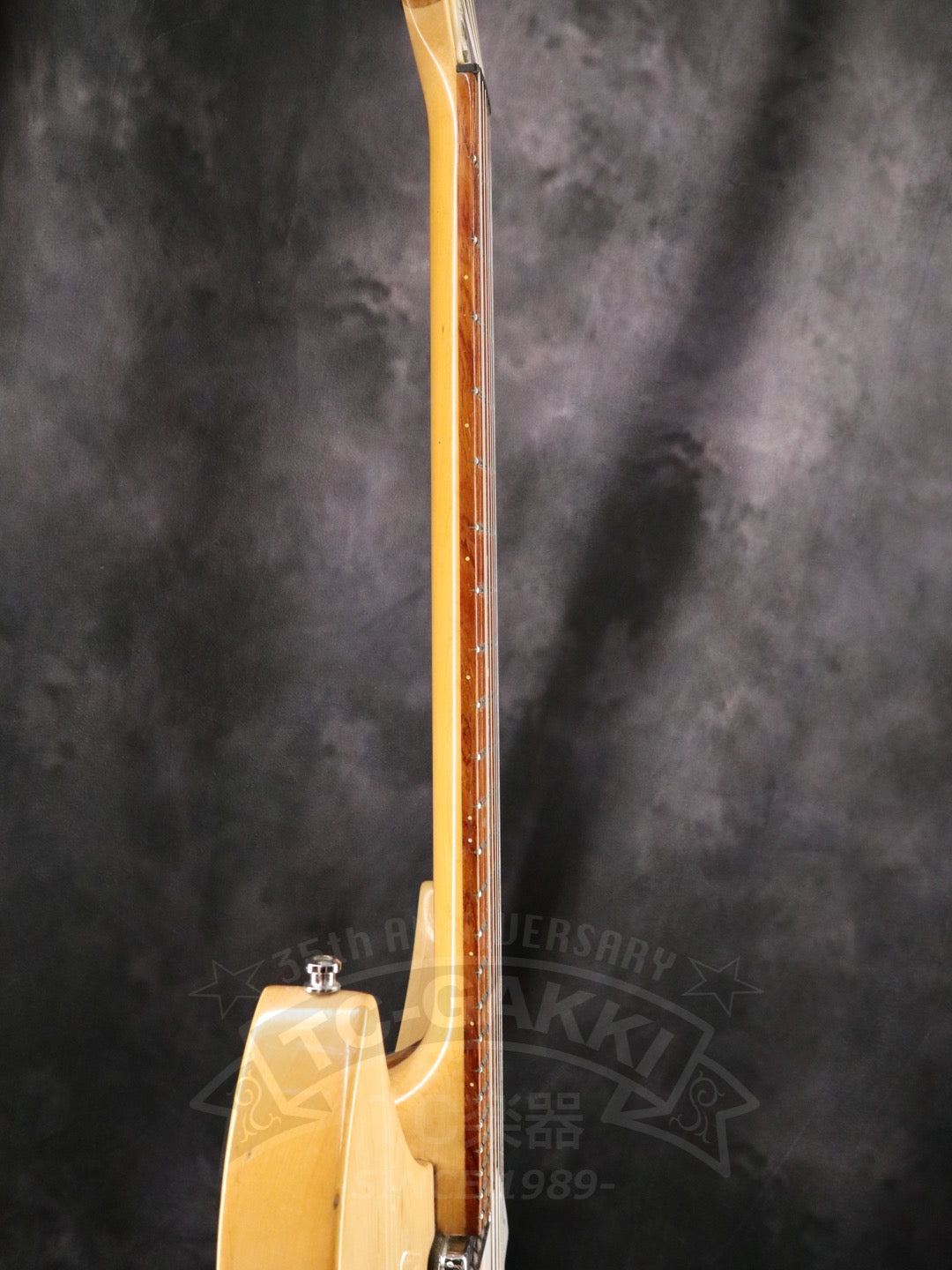 Rickenbacker 330