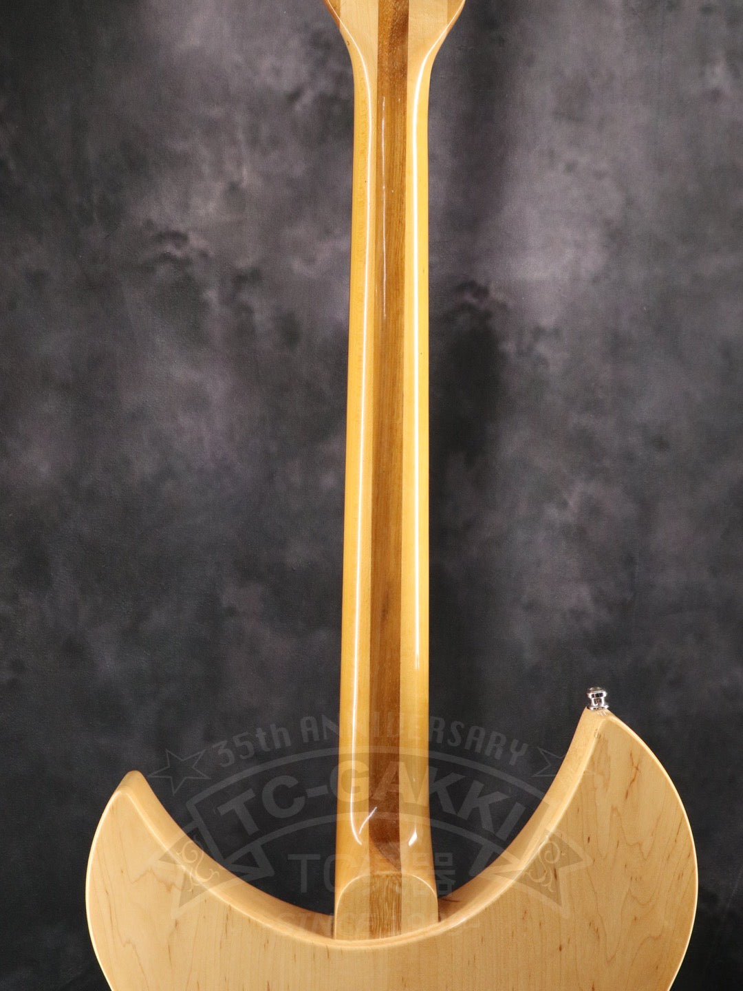 Rickenbacker 330
