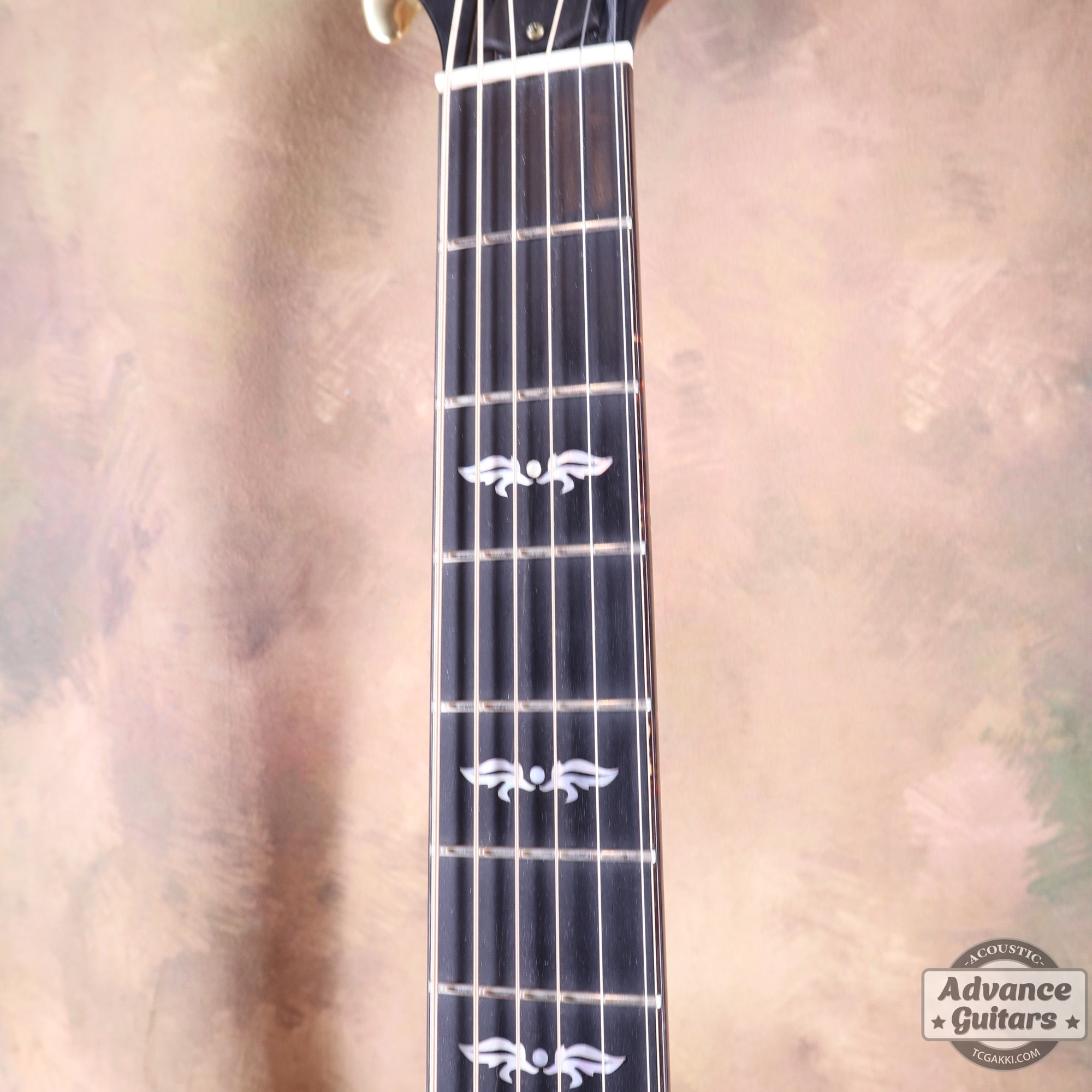 Taylor 2011年製 BTO2011 DNE-ADS/RW