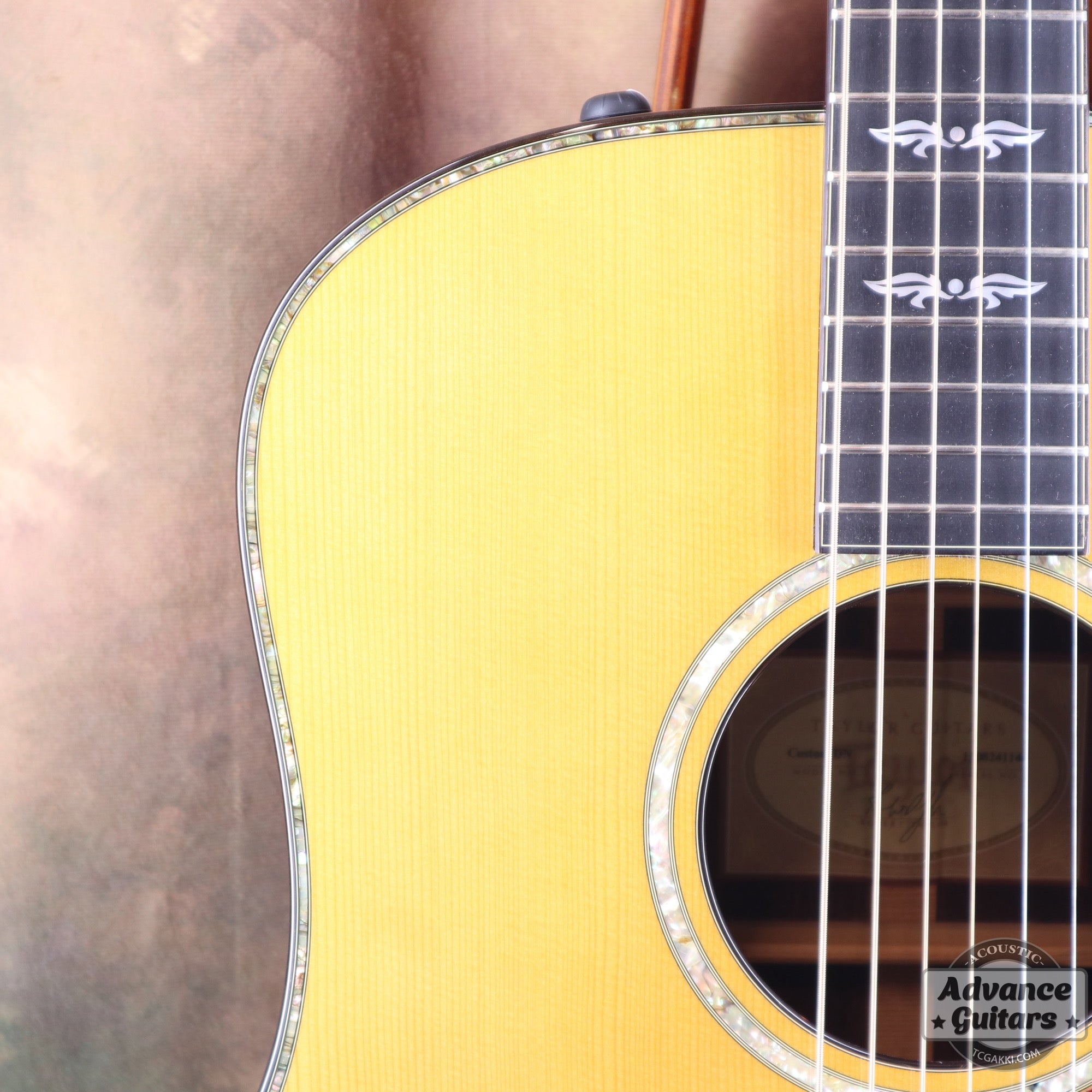Taylor 2011年製 BTO2011 DNE-ADS/RW