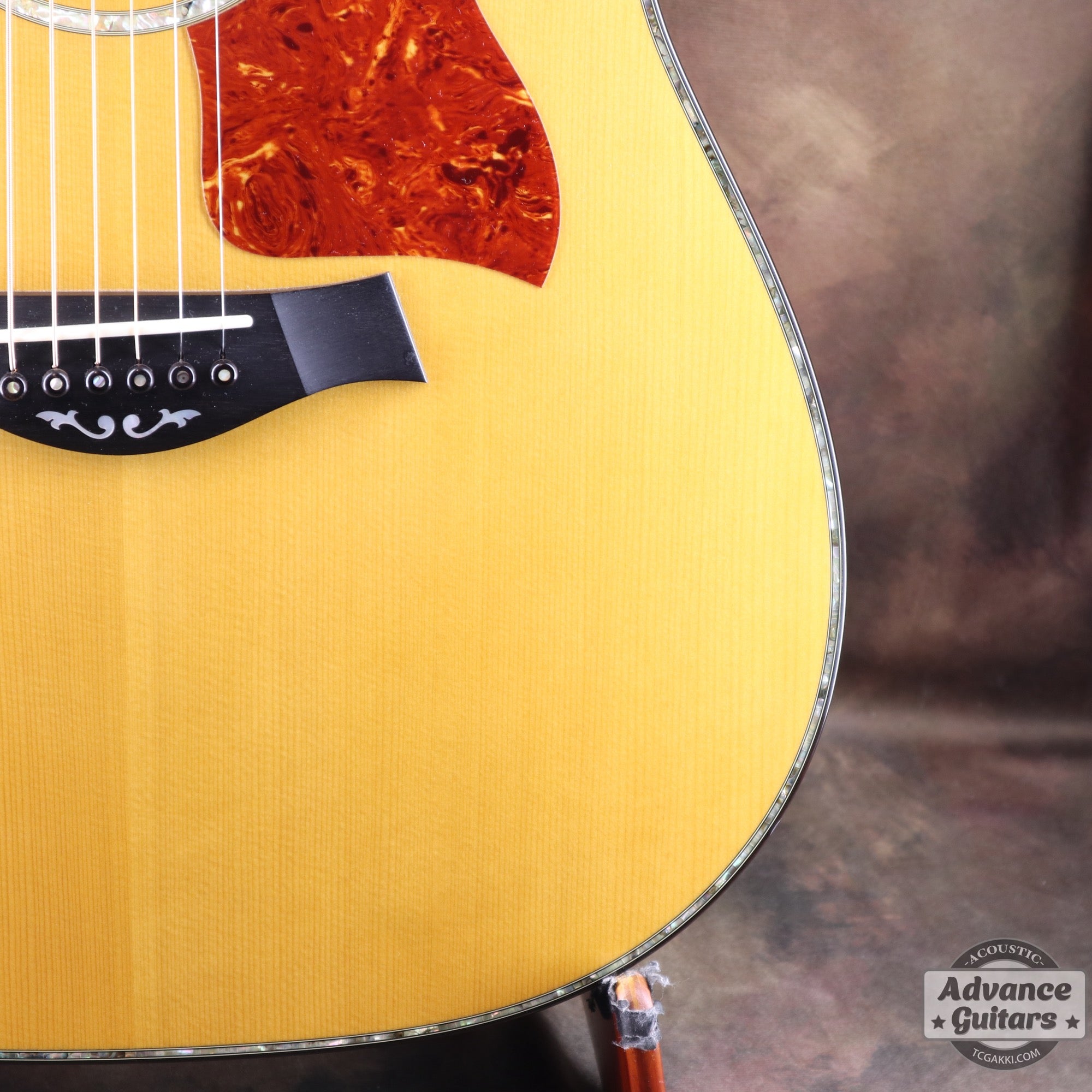 Taylor 2011年製 BTO2011 DNE-ADS/RW