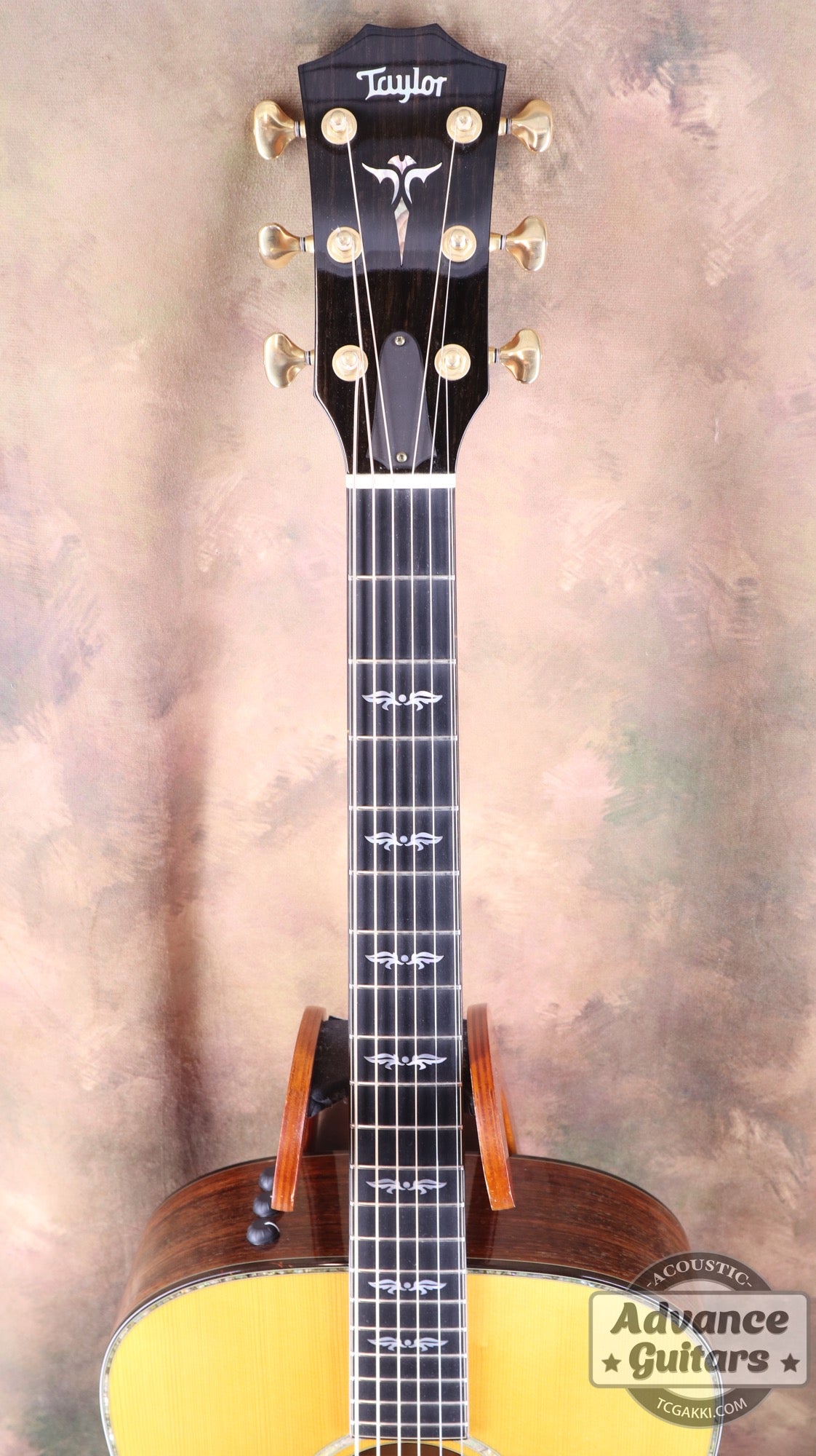 Taylor 2011年製 BTO2011 DNE-ADS/RW
