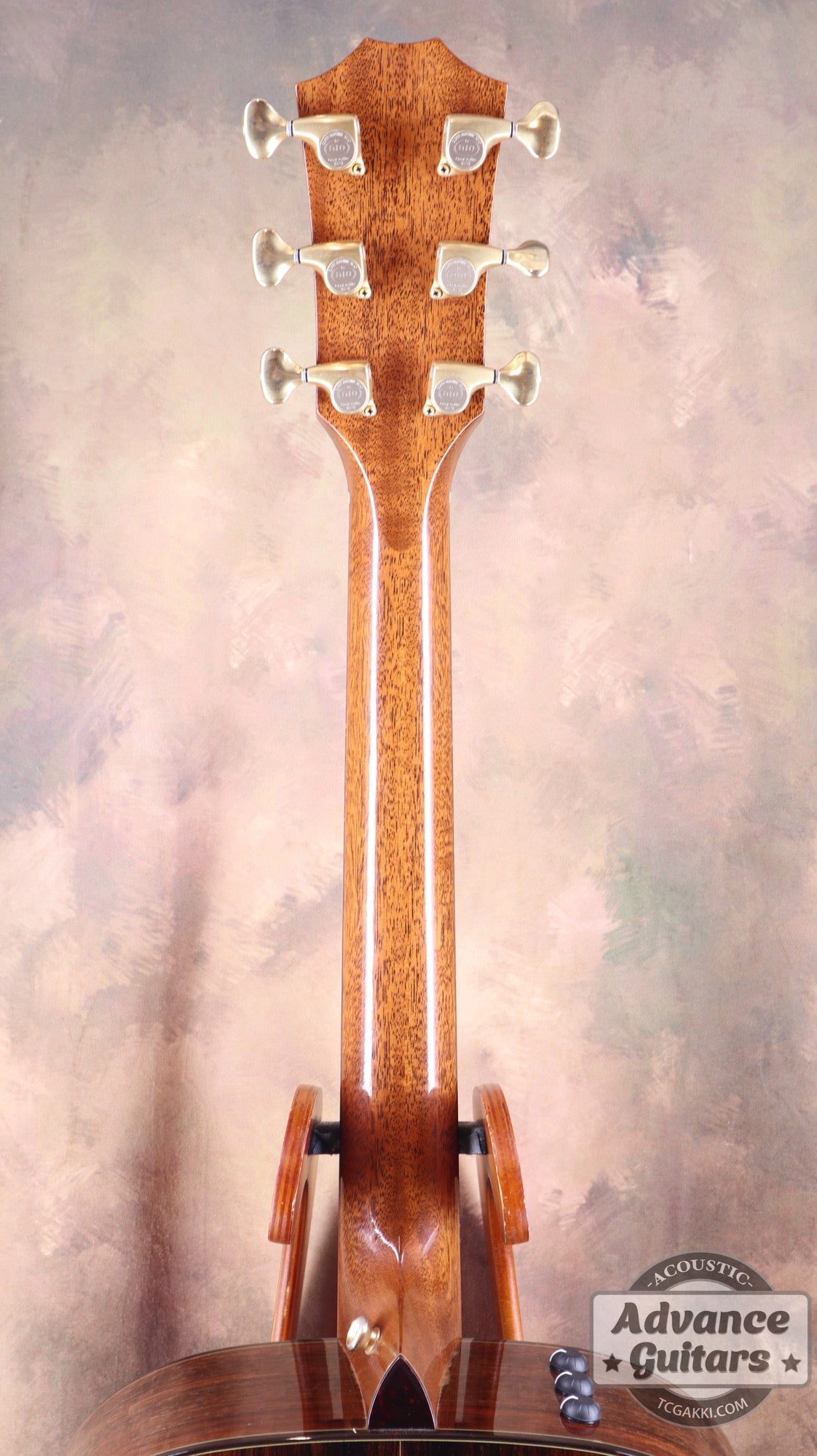Taylor 2011年製 BTO2011 DNE-ADS/RW