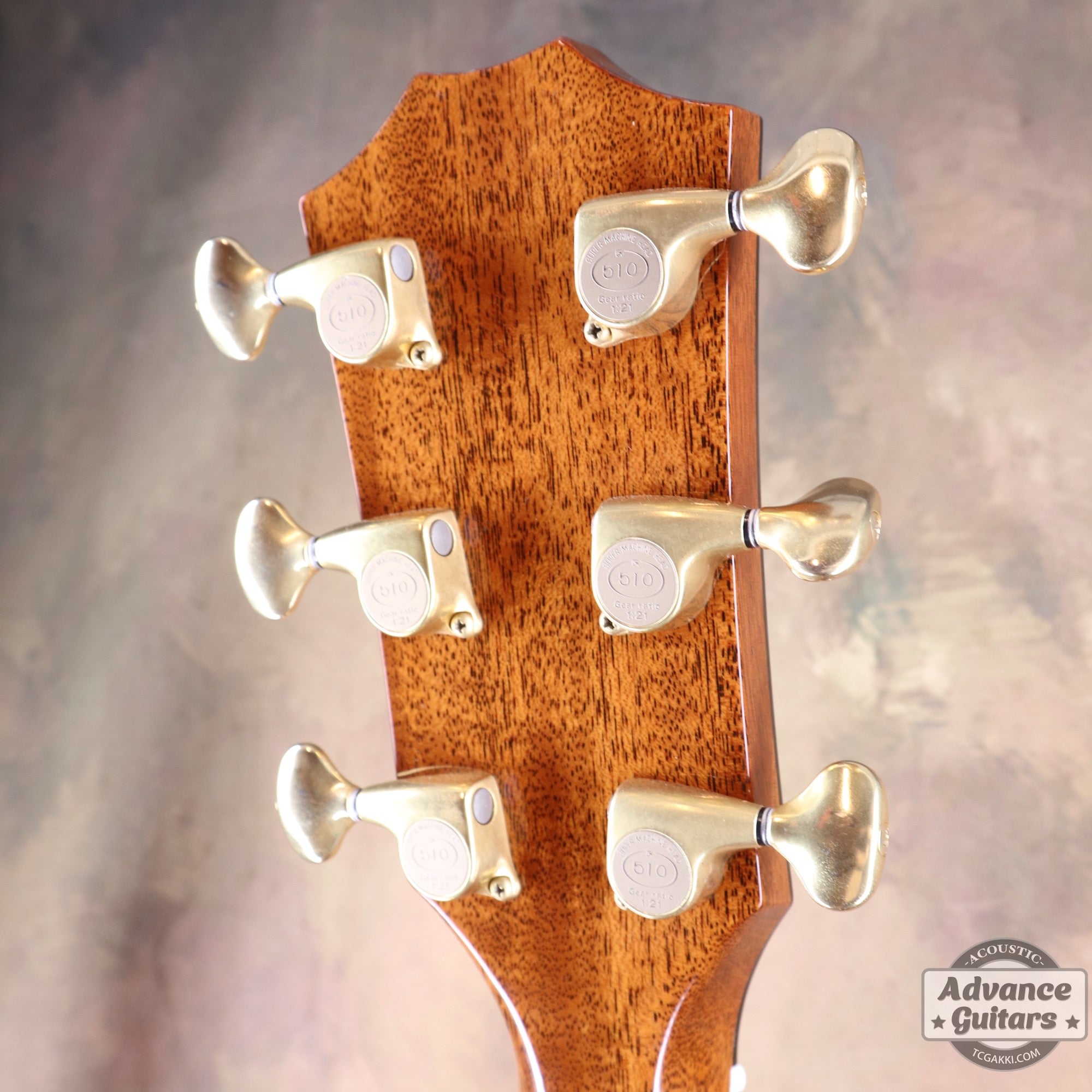 Taylor 2011年製 BTO2011 DNE-ADS/RW
