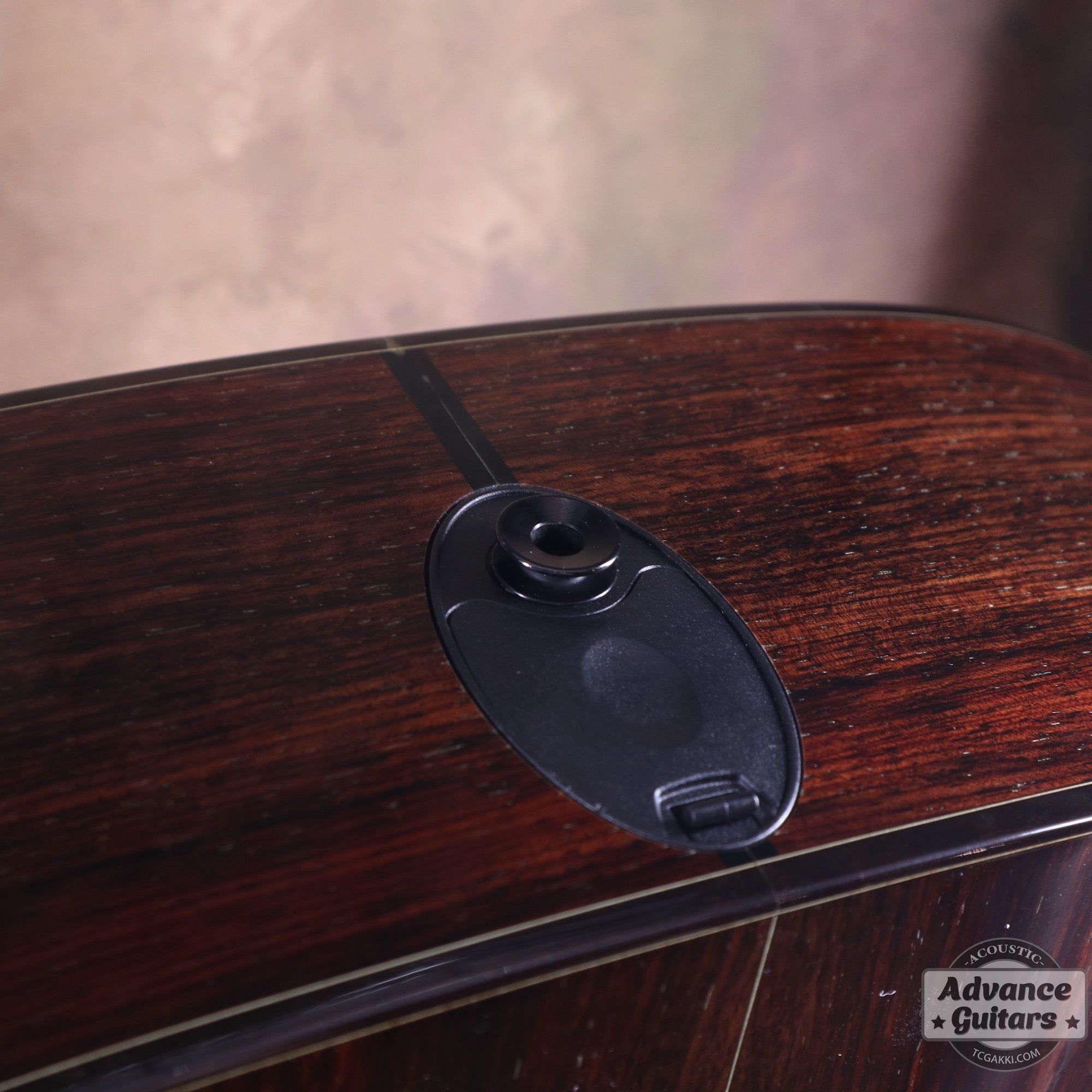 Taylor 2011年製 BTO2011 DNE-ADS/RW