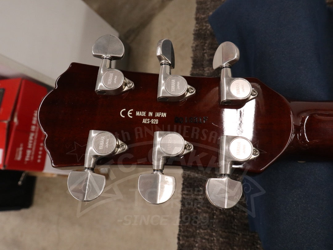 YAMAHA AES-920