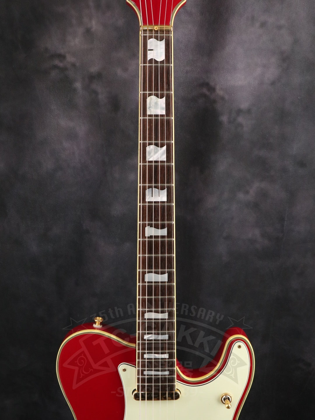 Fender Japan Terry-1 ANNIVERSARY Mod