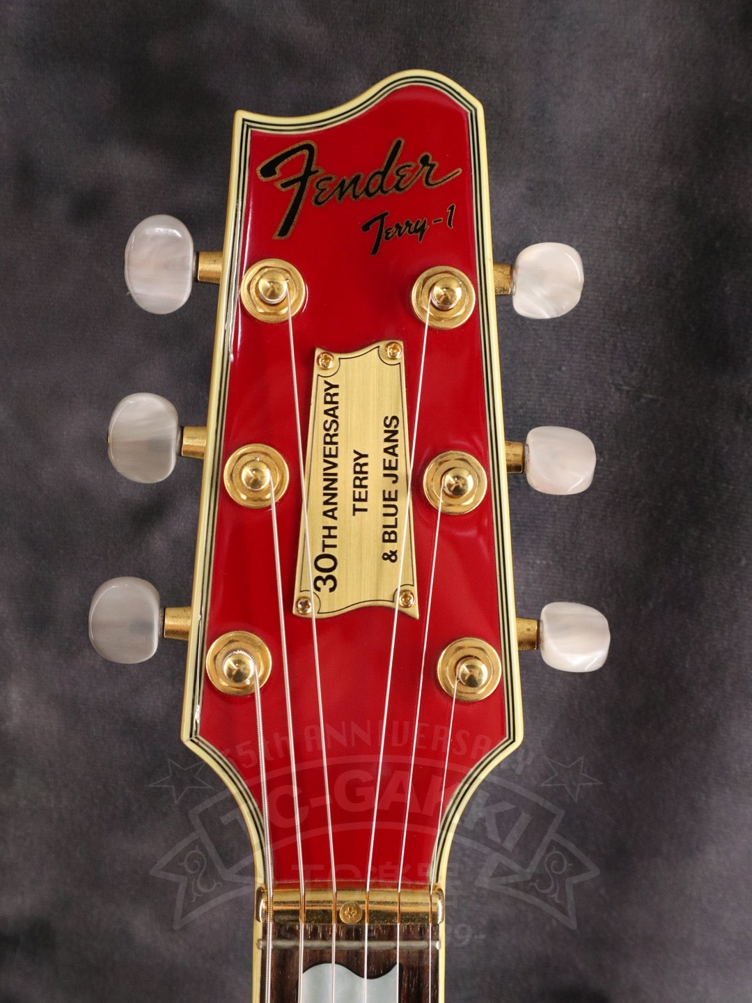 Fender Japan Terry-1 ANNIVERSARY Mod