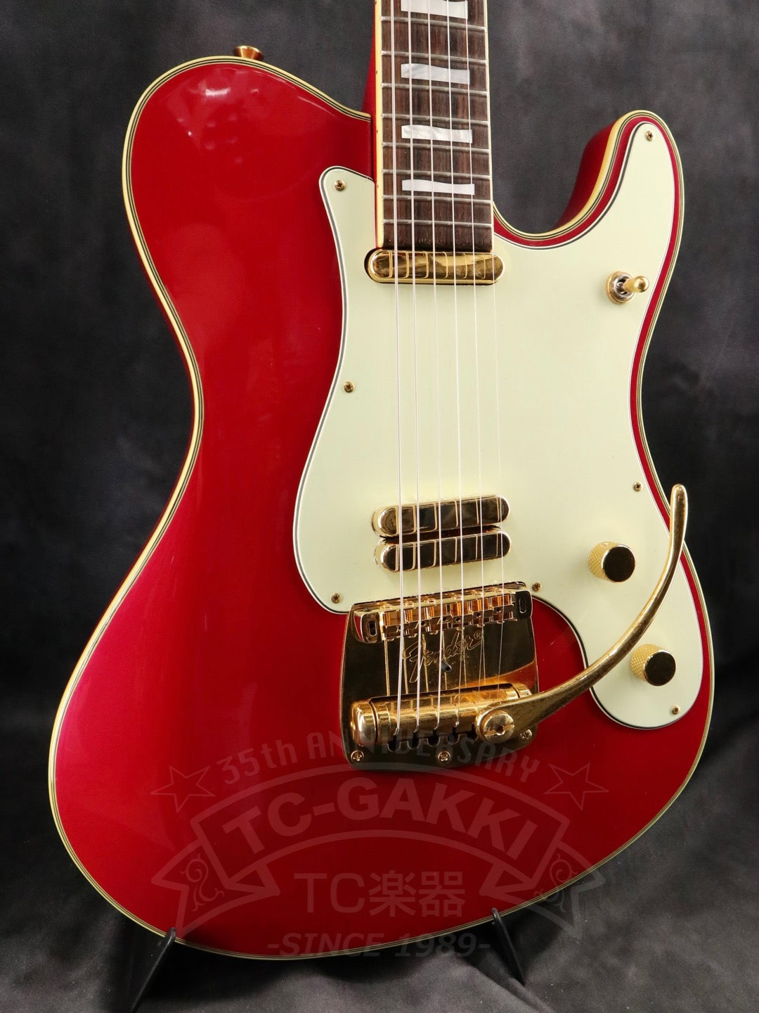 Fender Japan Terry-1 ANNIVERSARY Mod