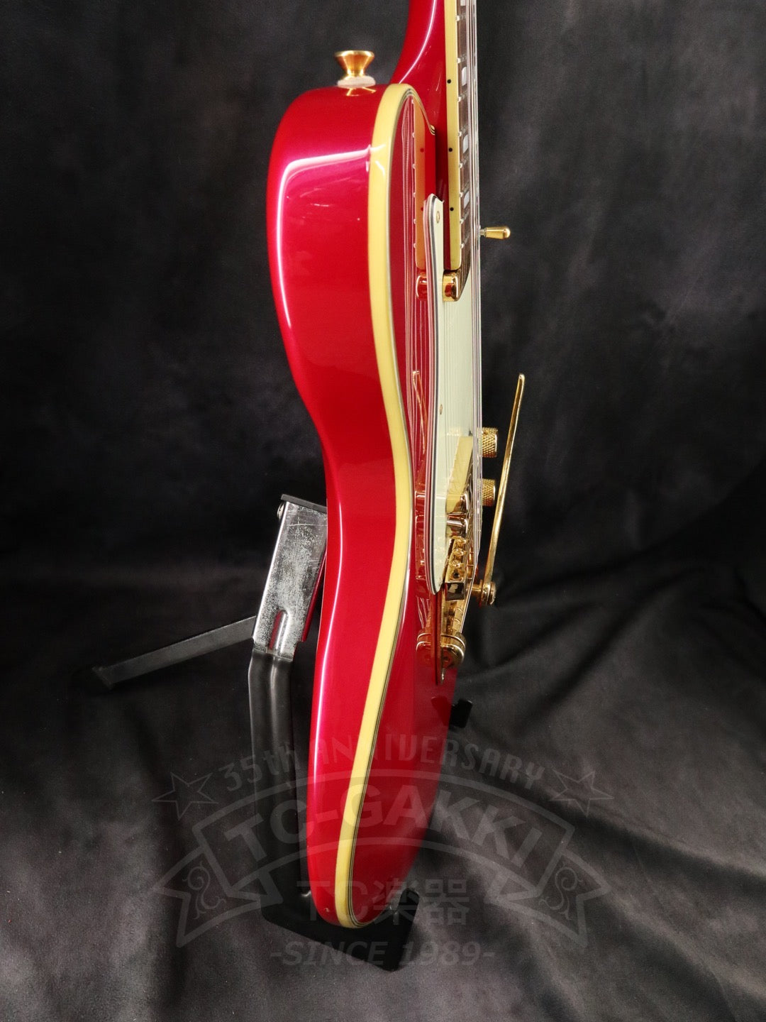 Fender Japan Terry-1 ANNIVERSARY Mod