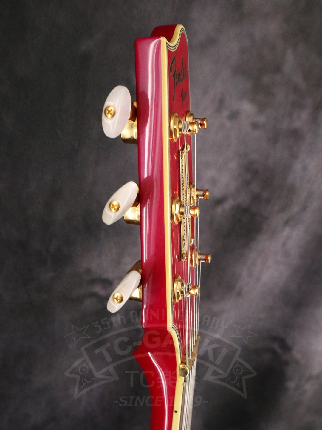 Fender Japan Terry-1 ANNIVERSARY Mod