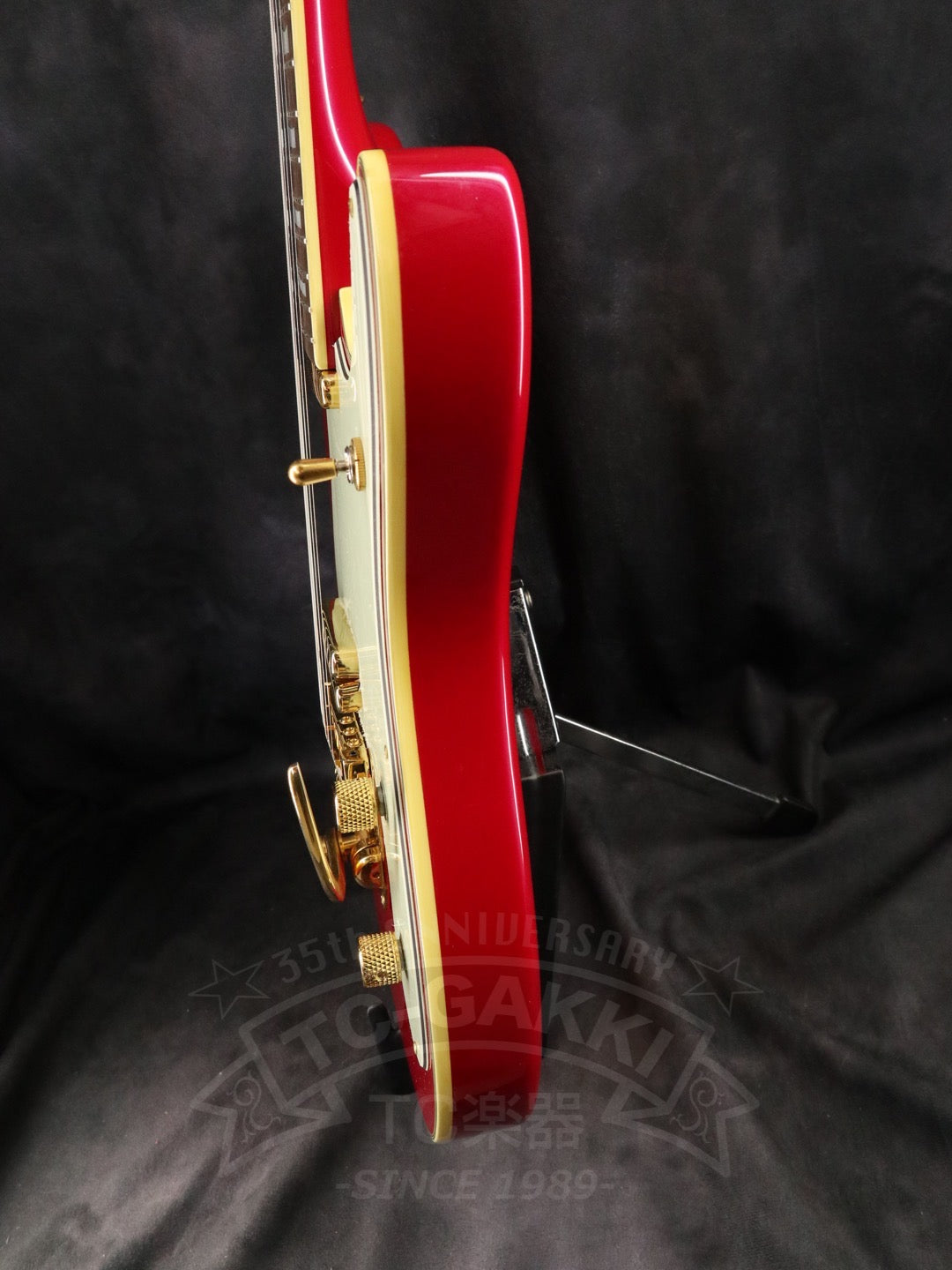 Fender Japan Terry-1 ANNIVERSARY Mod