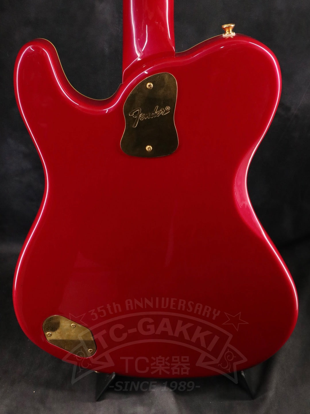Fender Japan Terry-1 ANNIVERSARY Mod
