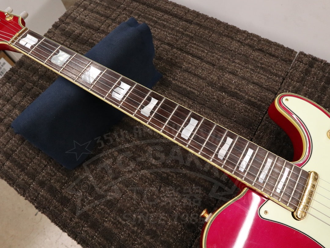 Fender Japan Terry-1 ANNIVERSARY Mod