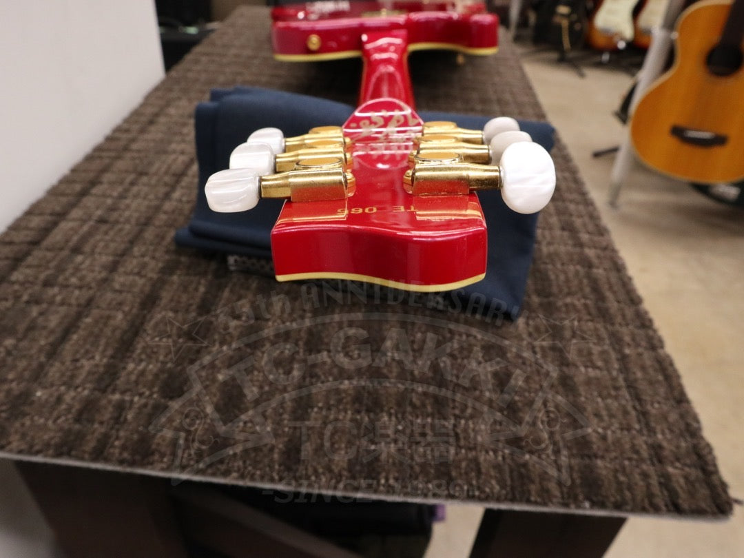 Fender Japan Terry-1 ANNIVERSARY Mod