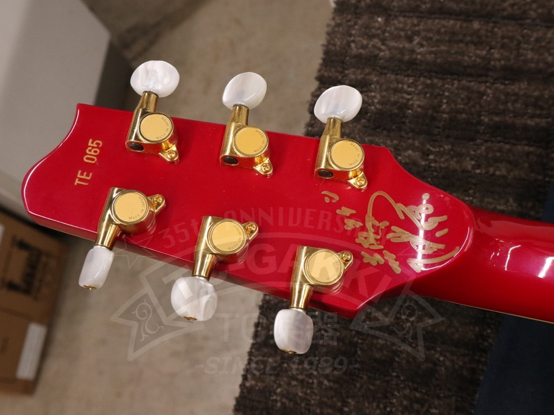 Fender Japan Terry-1 ANNIVERSARY Mod