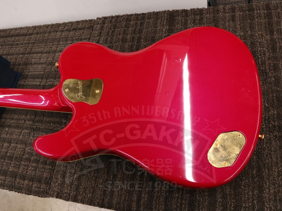 Fender Japan Terry-1 ANNIVERSARY Mod