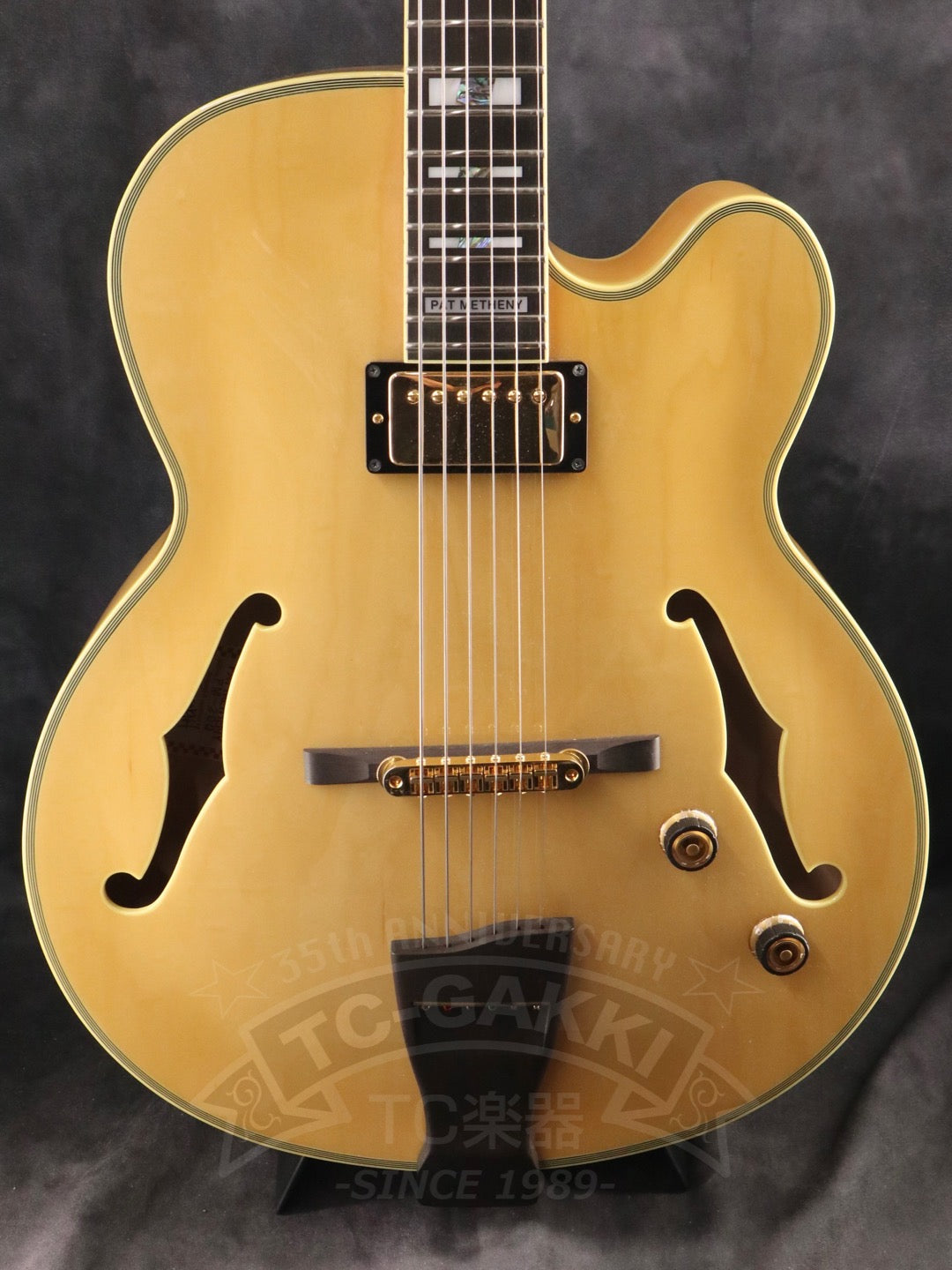 Ibanez PM200