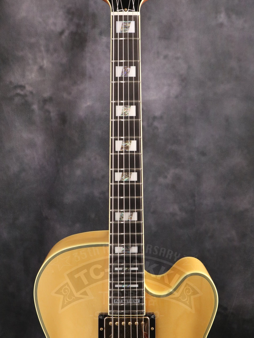 Ibanez PM200