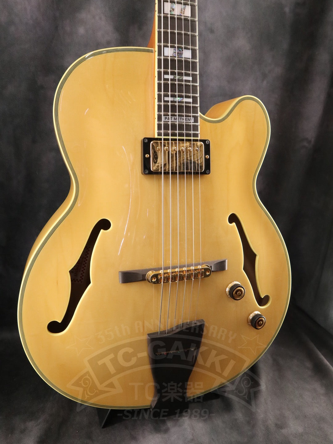 Ibanez PM200