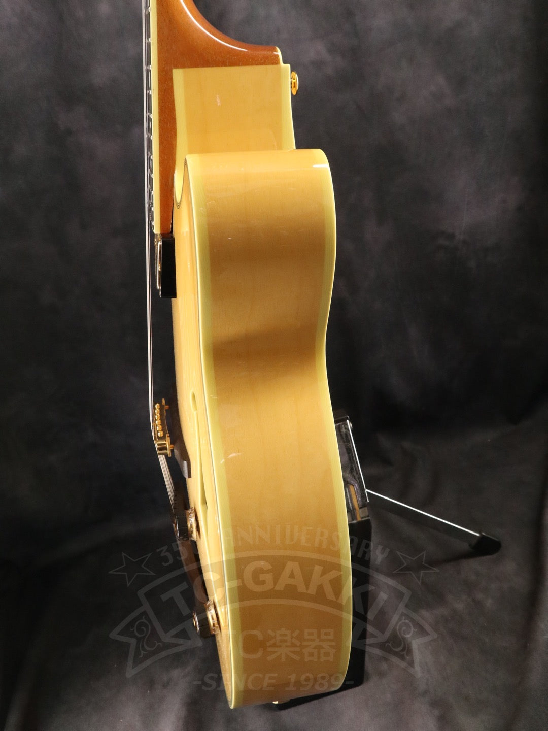 Ibanez PM200