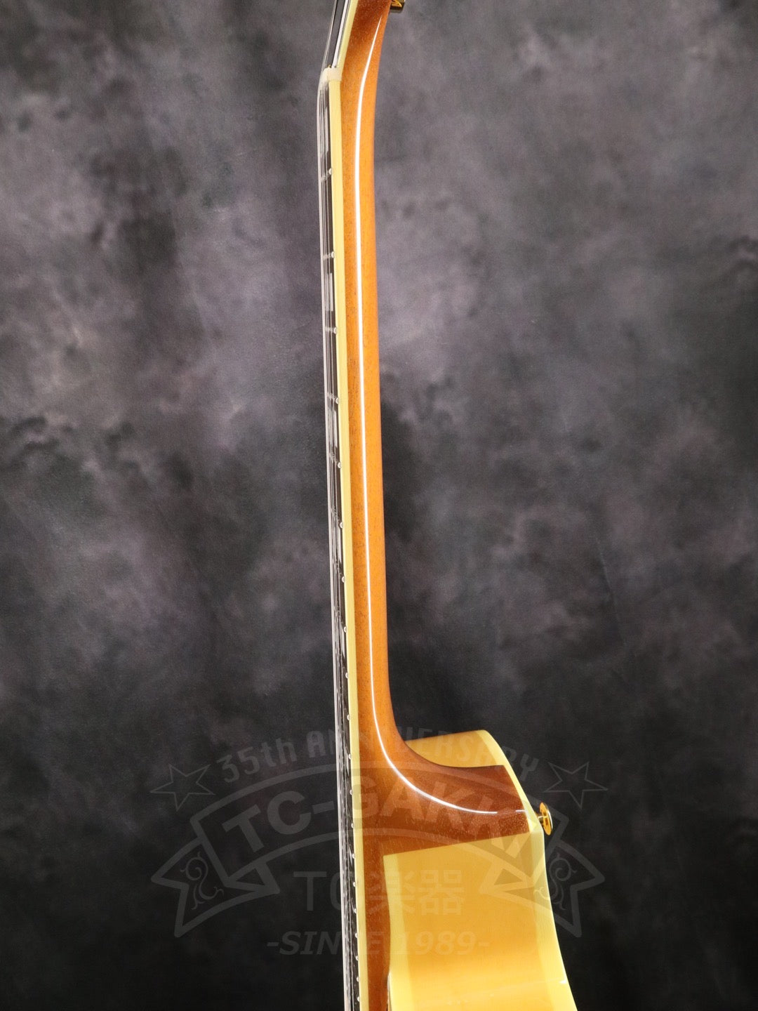 Ibanez PM200