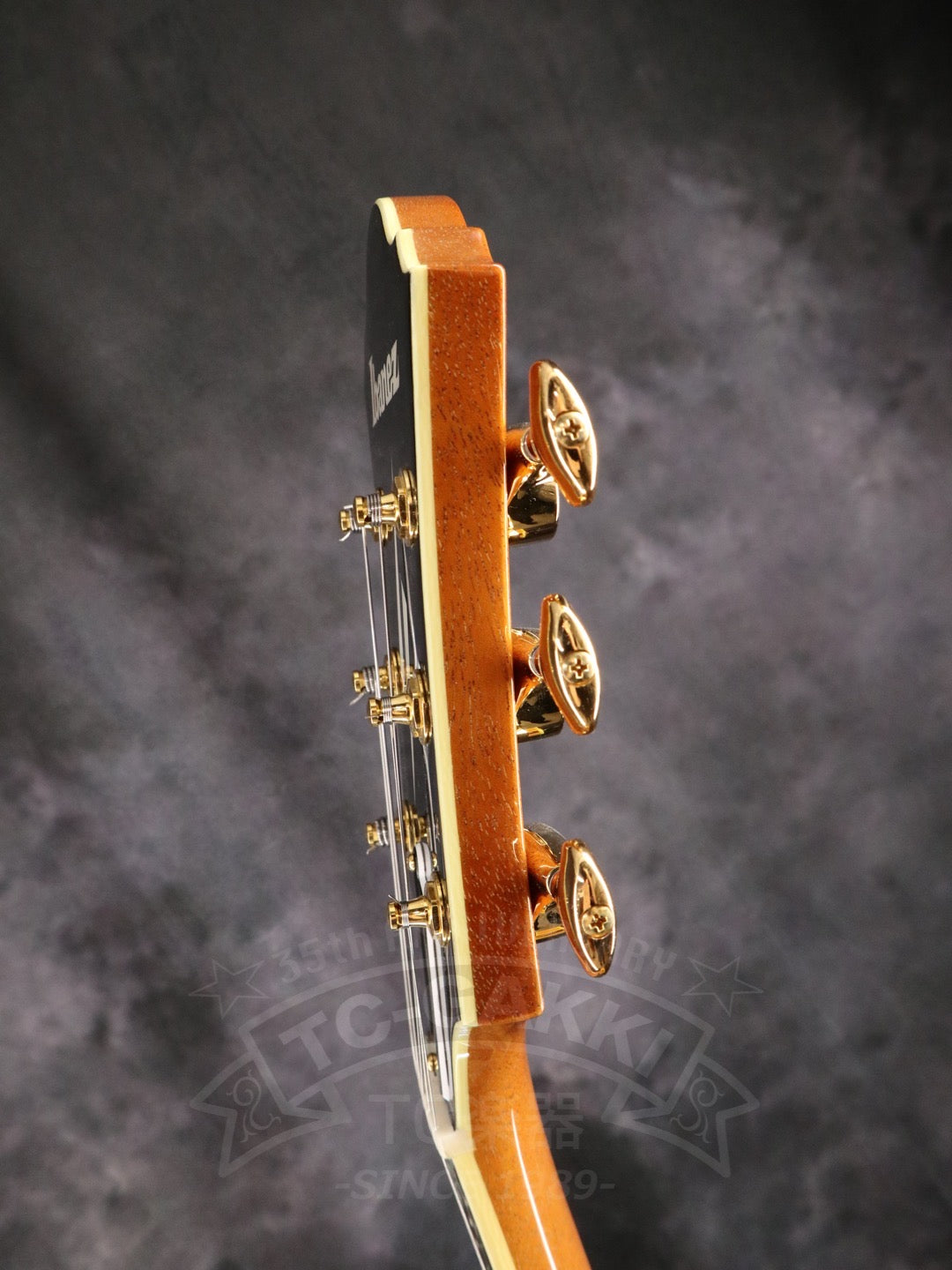 Ibanez PM200