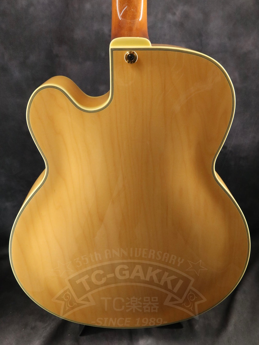 Ibanez PM200