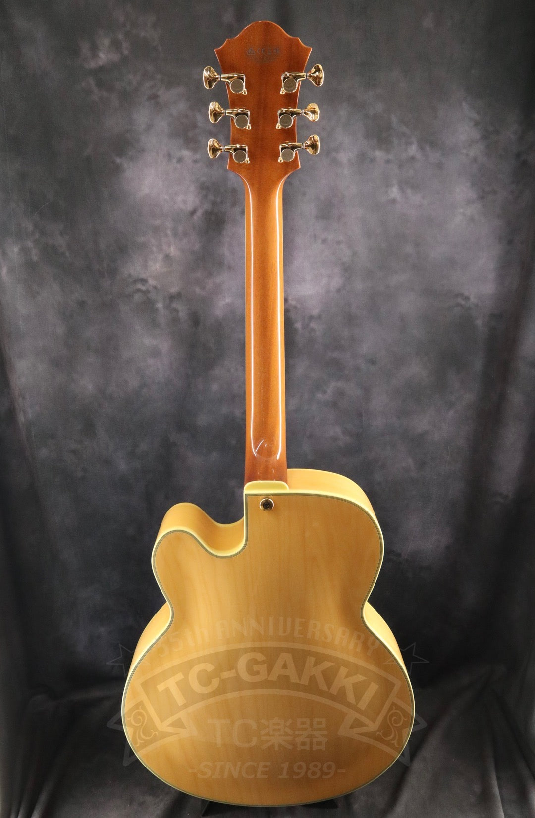 Ibanez PM200