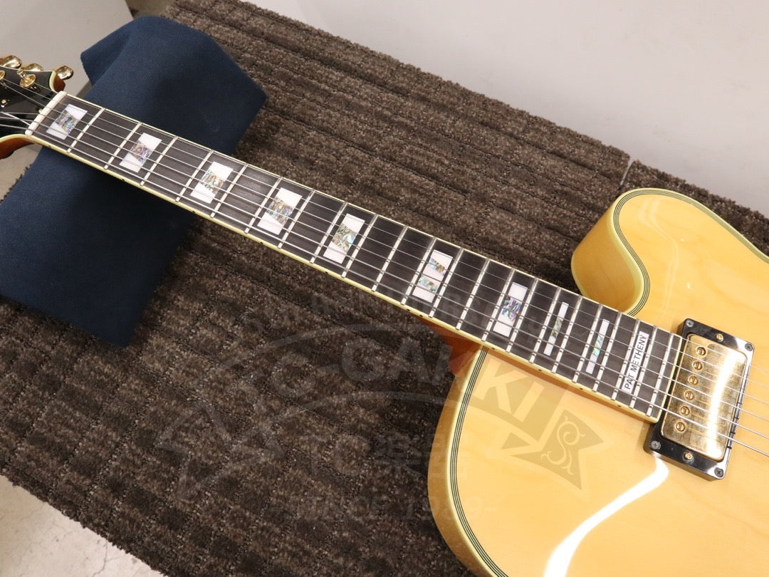 Ibanez PM200