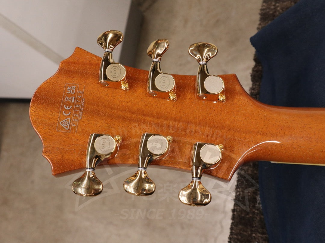 Ibanez PM200