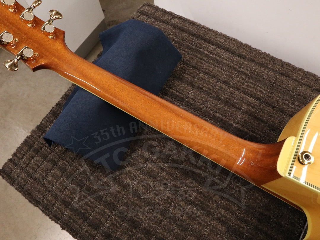 Ibanez PM200