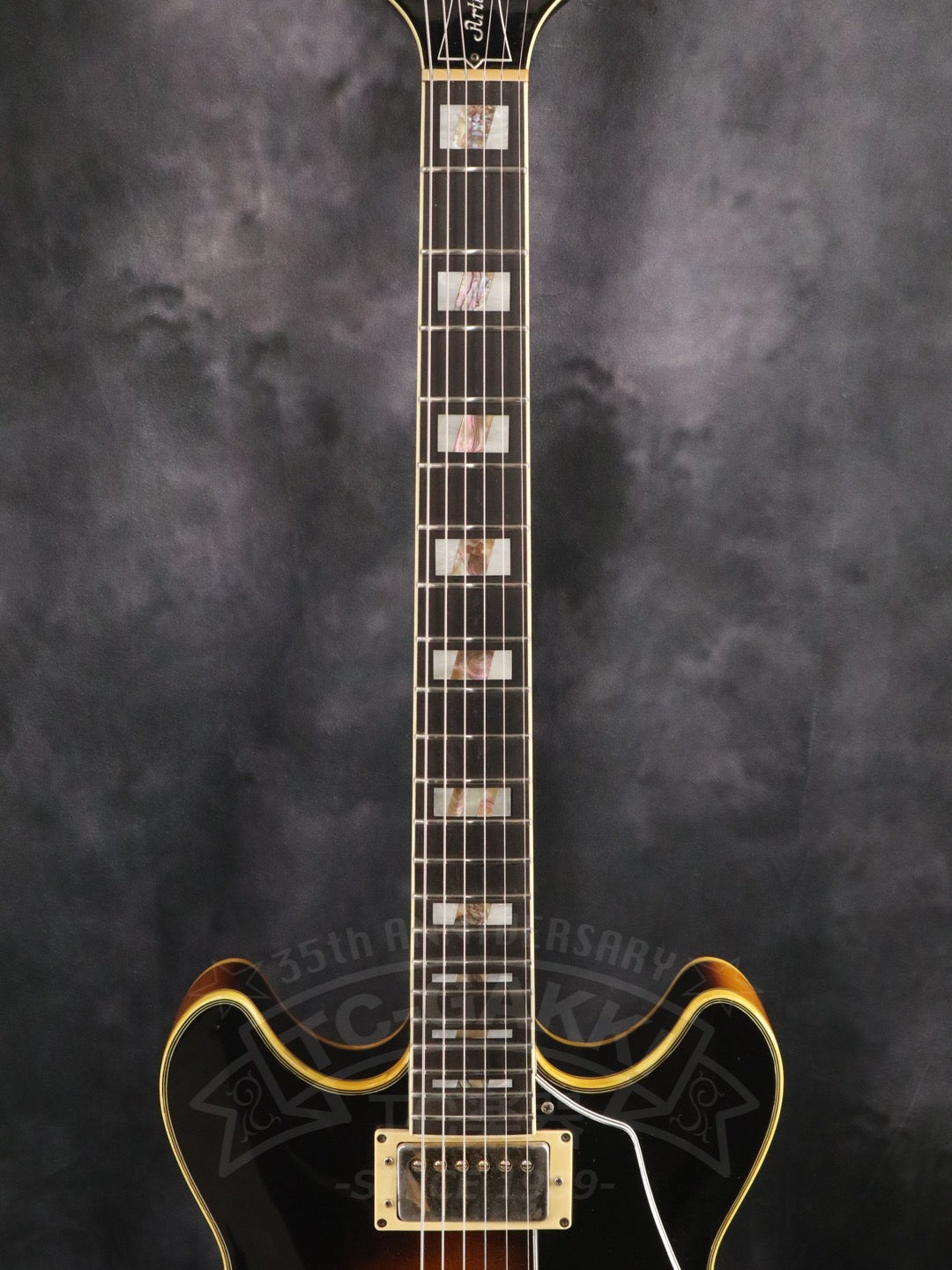 Ibanez AS200