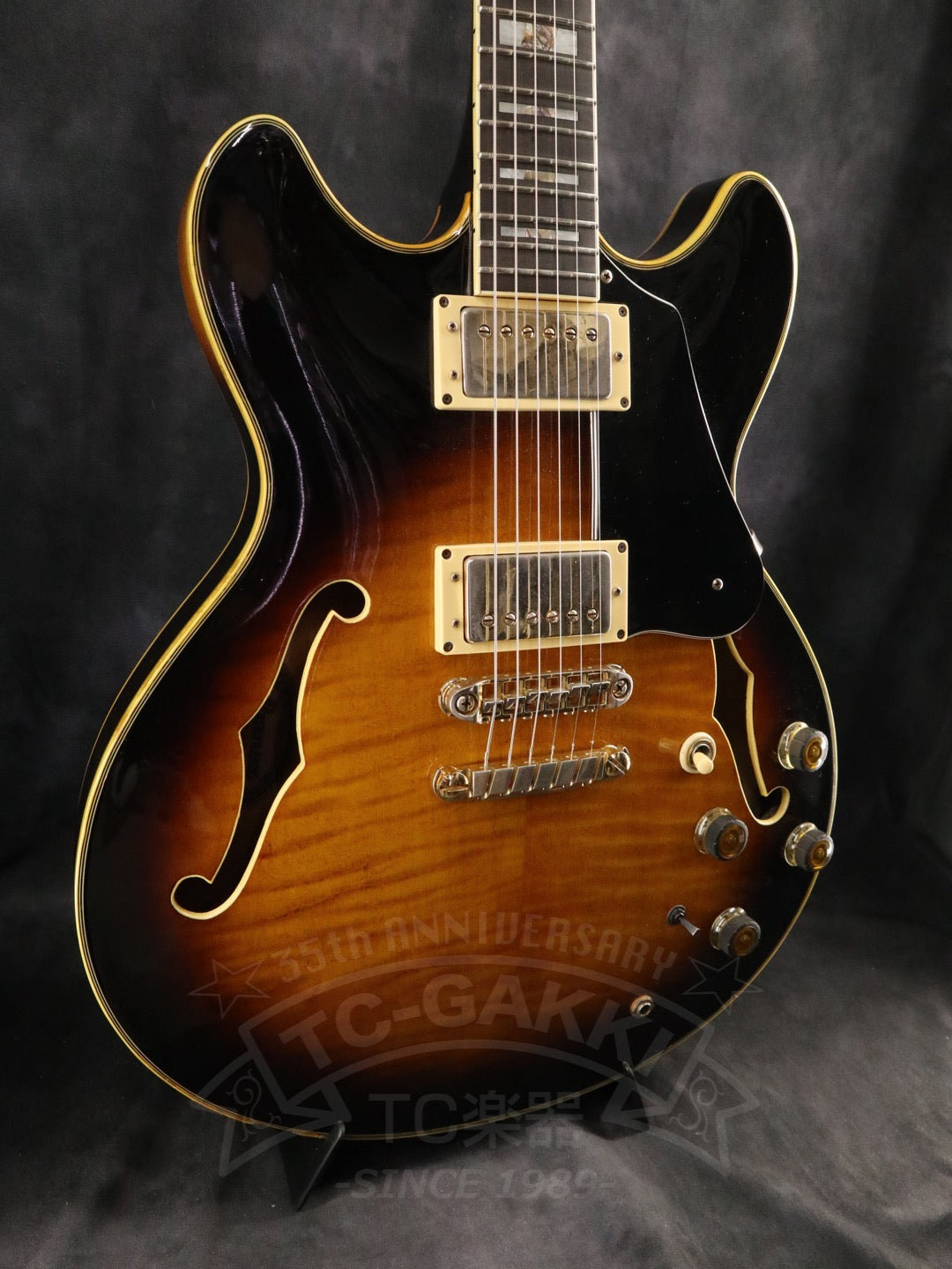 Ibanez AS200