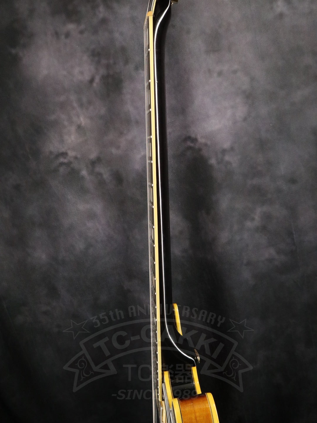 Ibanez AS200
