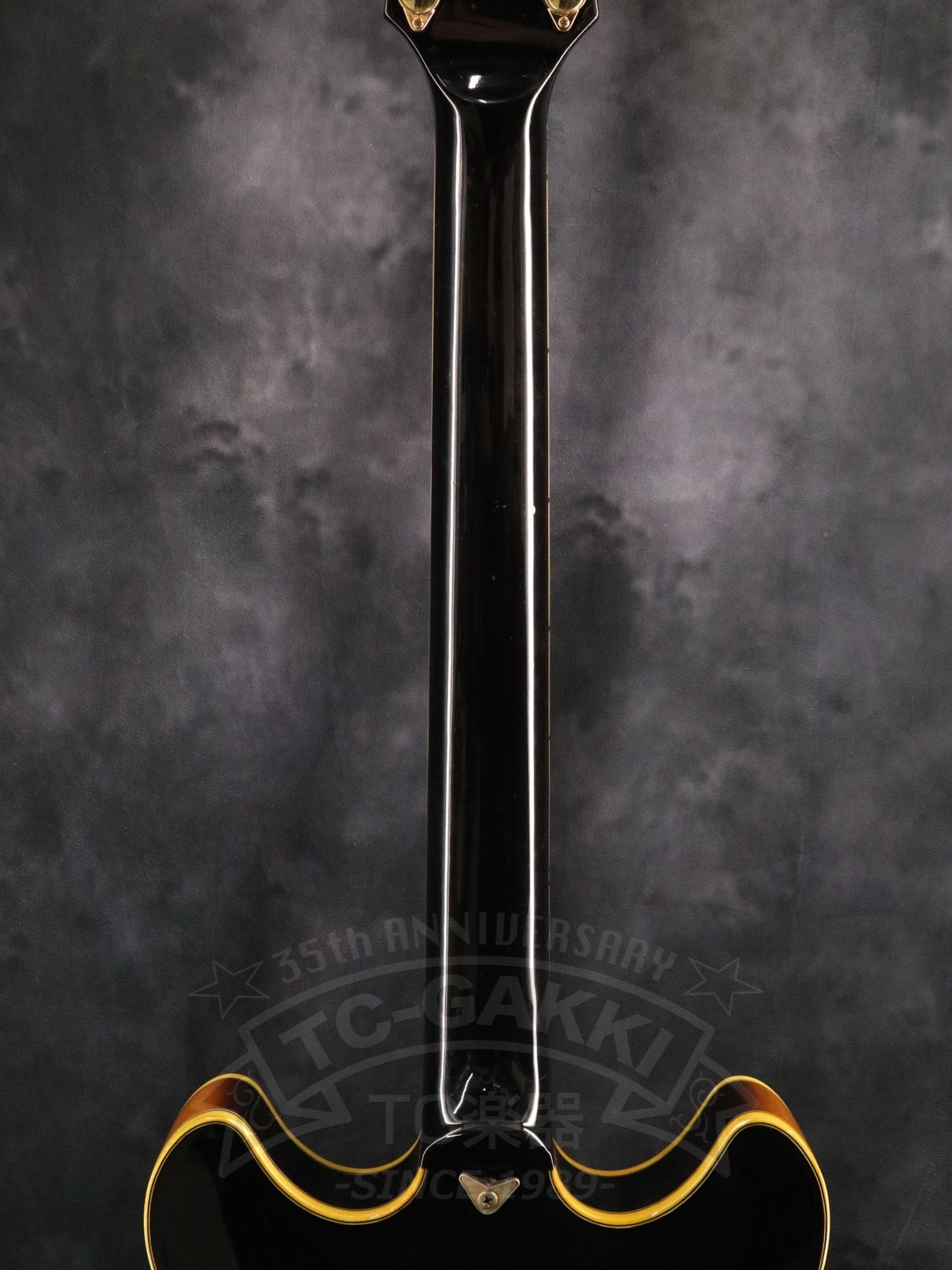 Ibanez AS200