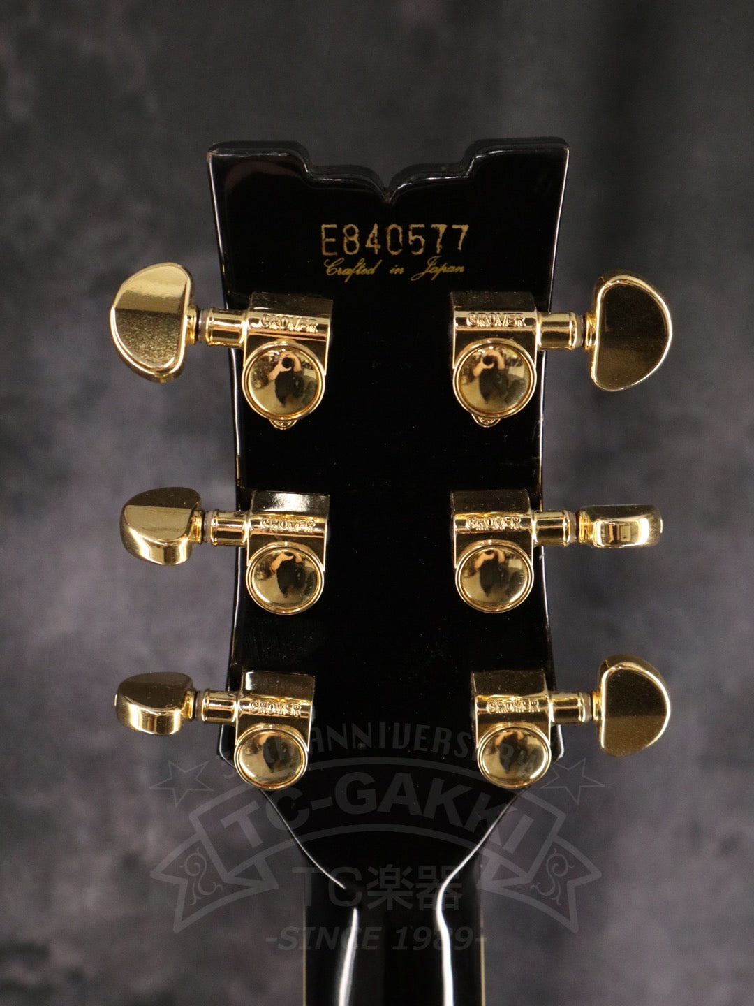 Ibanez AS200