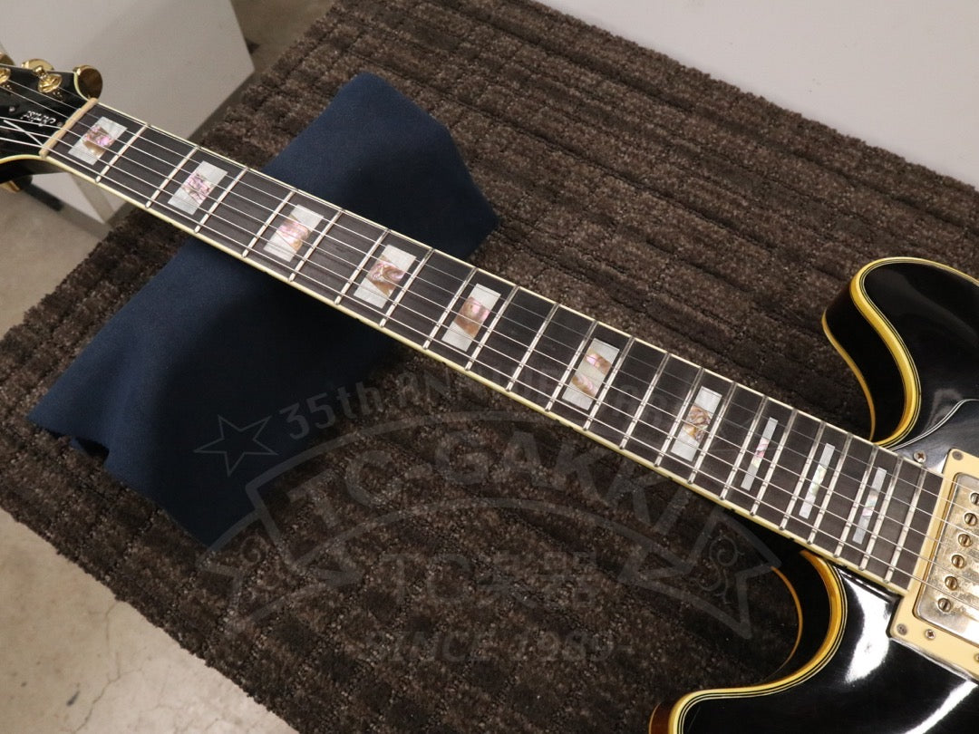 Ibanez AS200